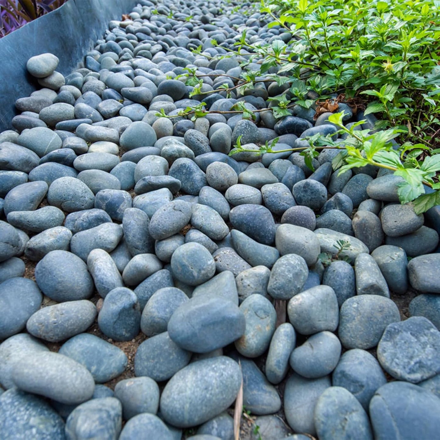 40 lbs Natural Black Rocks Mexican Beach Pebbles, 2-3 Inch Decorative Black River Rocks for Landscaping, Garden, Paving, Fountain, Walkways and Outdoor Decorative Stones