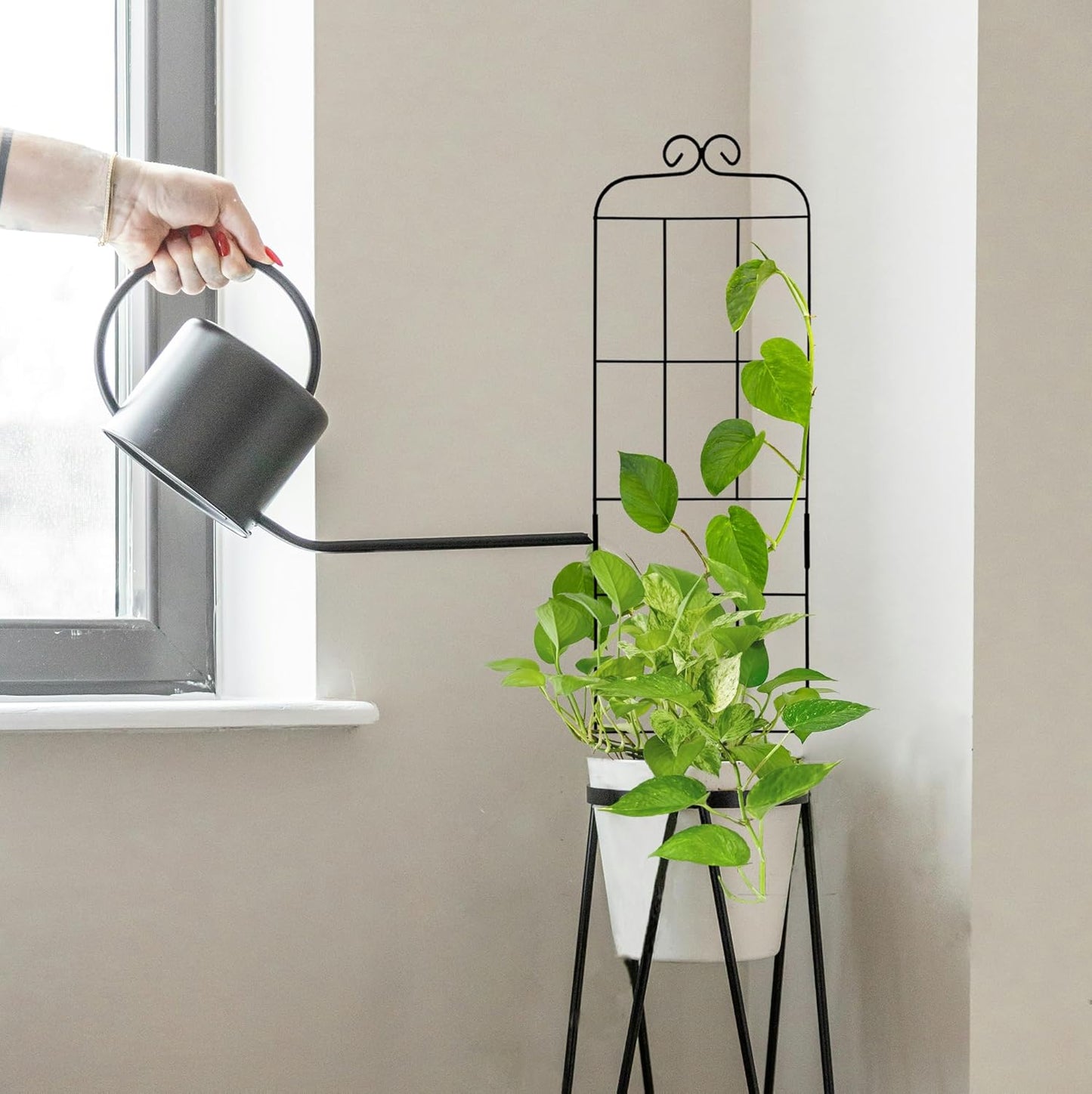 4 Pack 31'' Plant Trellis for Climbing Plants Indoor & Outdoor, Metal Trellis for Potted Plants, Plant Support for Houseplant, Vines, Pothos, Rose, Ivy, and Flowers, Black