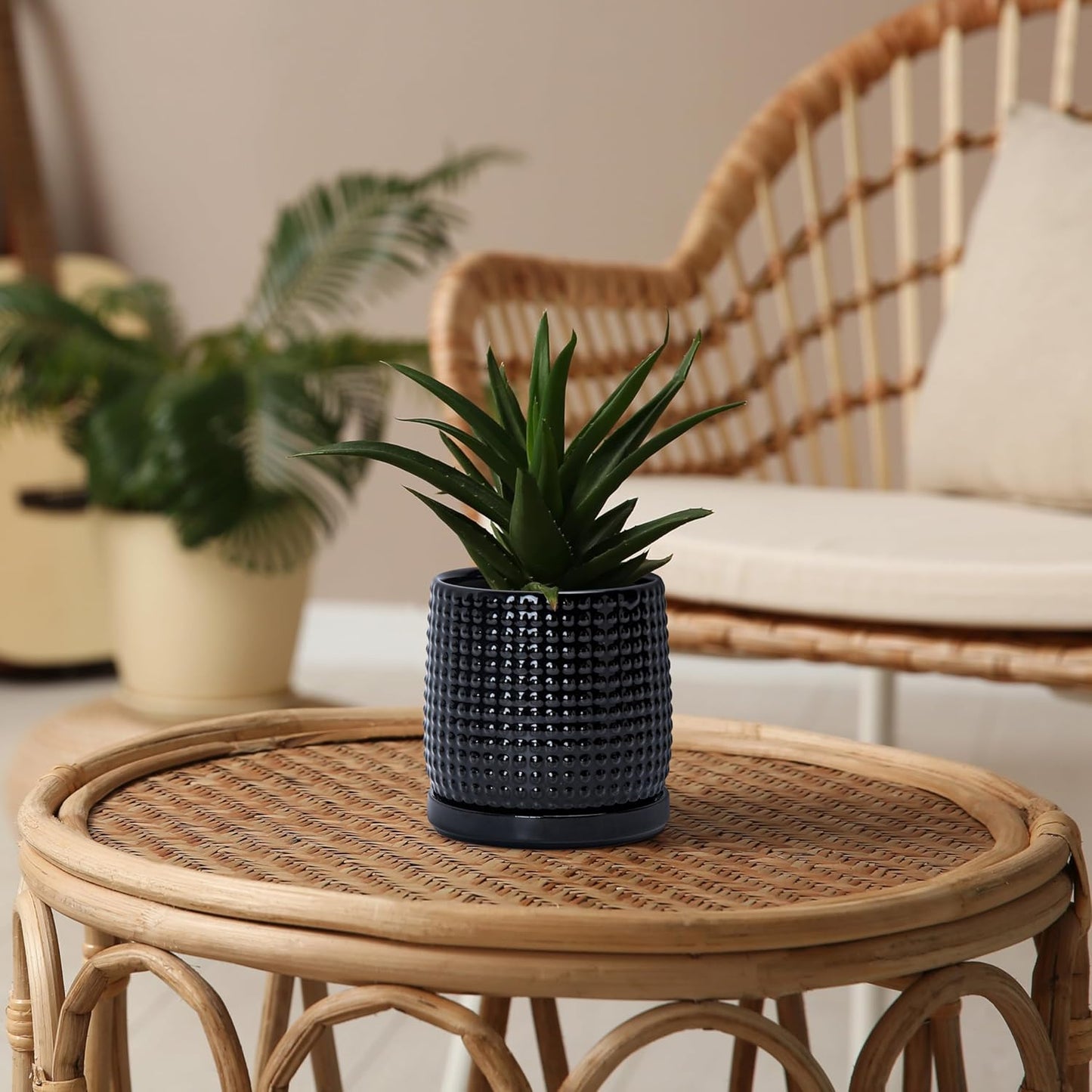 D'vine Dev 4 Inch Ceramic Beaded Stoneware Planter Pot - Flower Pot with Drainage Holes and Saucers for Indoor Succulent Plants or Flowers, Glossy Black, 27-C-Z-2