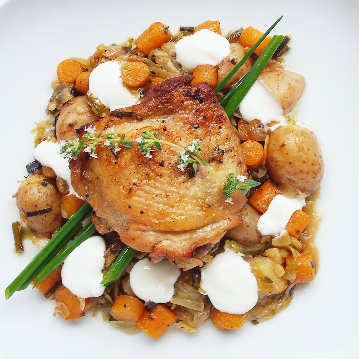 German Thyme Plants - Perfect for Indoor or Outdoor Gardening, High in Antioxidants, Fragrant and Flavorful Herb (2 ger Thyme Bags)