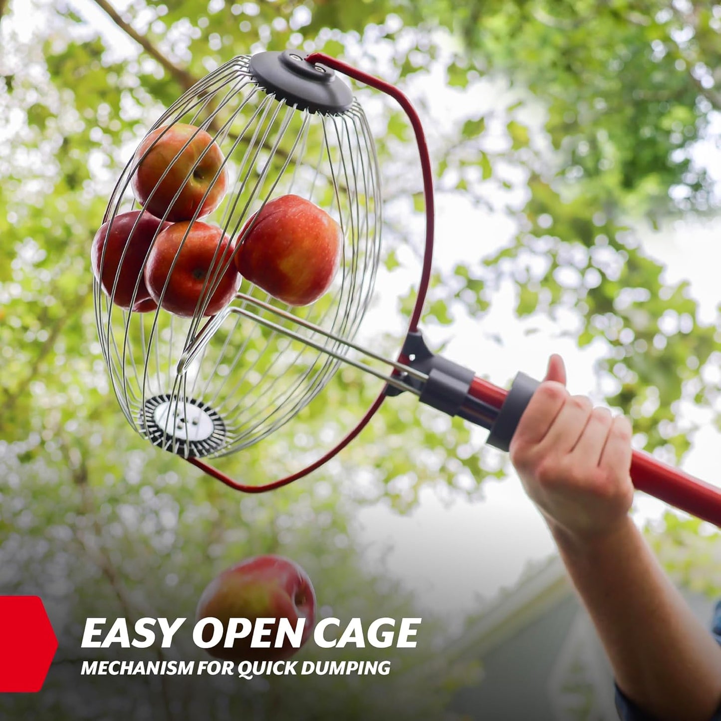 GARDEN WEASEL Large Nut Gatherer Roller – Nut Collector Tool for Walnuts, Sweet Gum Balls, Tennis Balls and More – Yard Picker Upper with Durable Cage and Ergonomic Handle - Newest Model