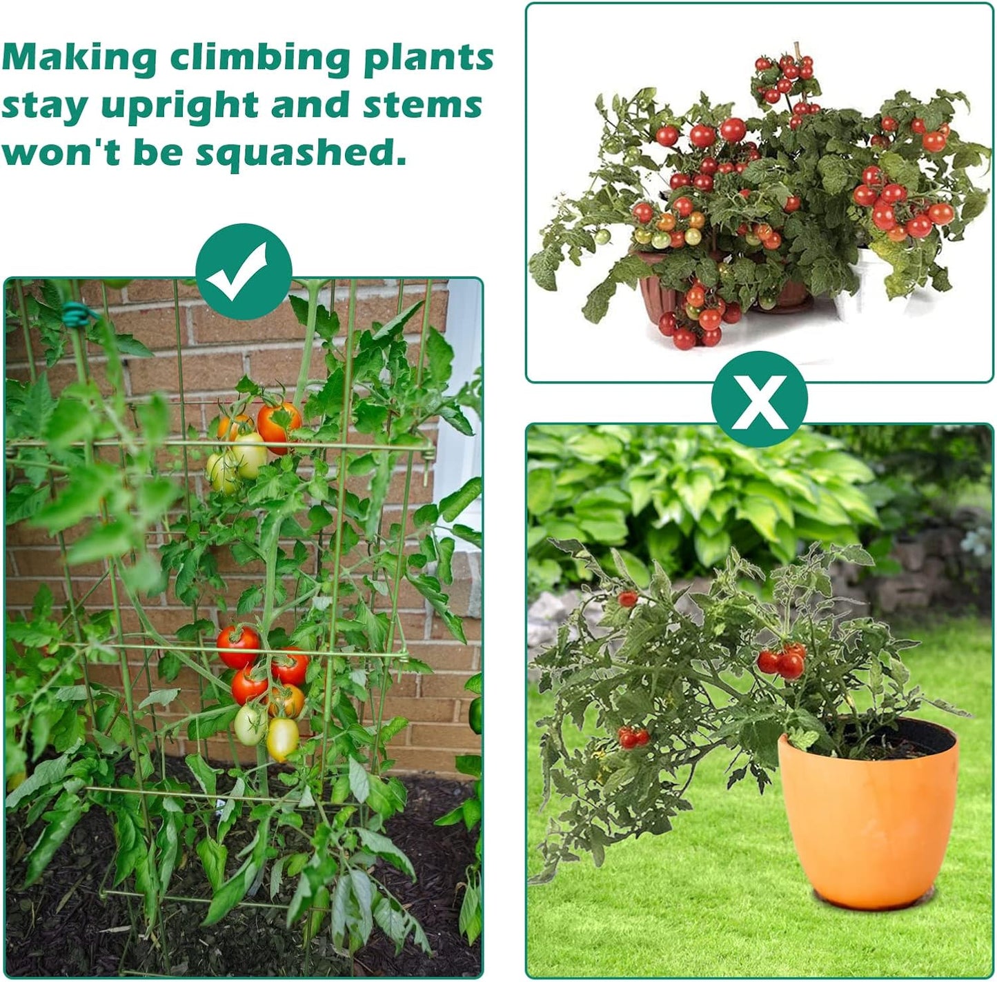 DoCred 4 Pack Tomato Cage, Folding Tomato Cage Heavy Duty Metal Square Tomato Cages Coated Steel Garden Plant Support Stake Tower for Climbing Vegetables, Plants, Flowers, Steel Green