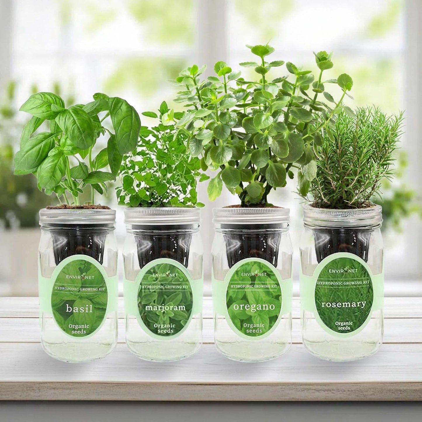 Hydroponic Mason Jar Indoor Garden Organic Seed Starter Kits - Italian Herb Blend Growing Kits, Windowsill Herb Garden, Gardening Gift (Basil, Marjoram, Oregano, Rosemary)