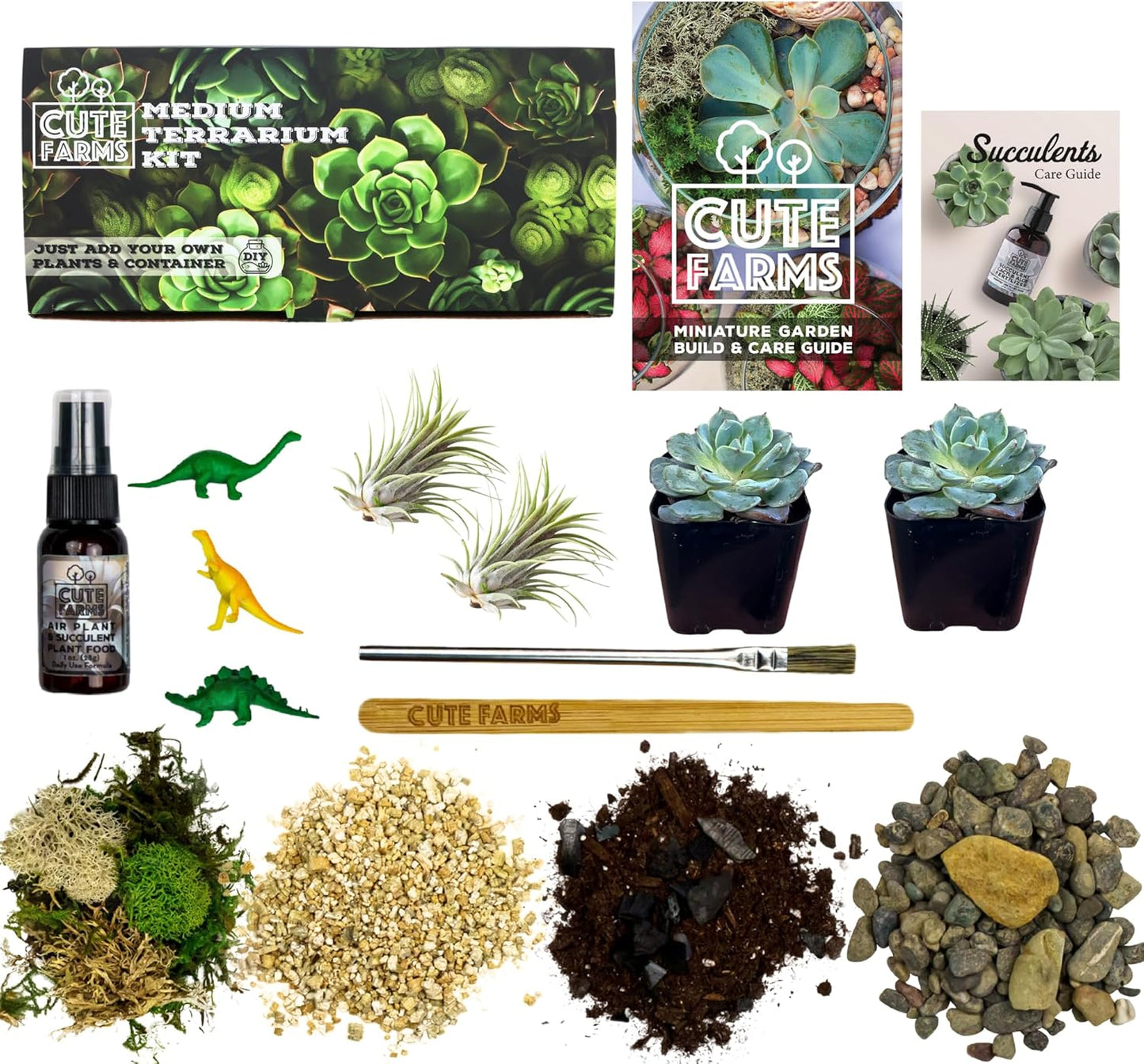 Cute Farms Terrarium Starter Kit | Moss, Vermiculite, Soil, Pebbles, Plant Food, & Finishing Tools (Medium Kit + Live Plants)