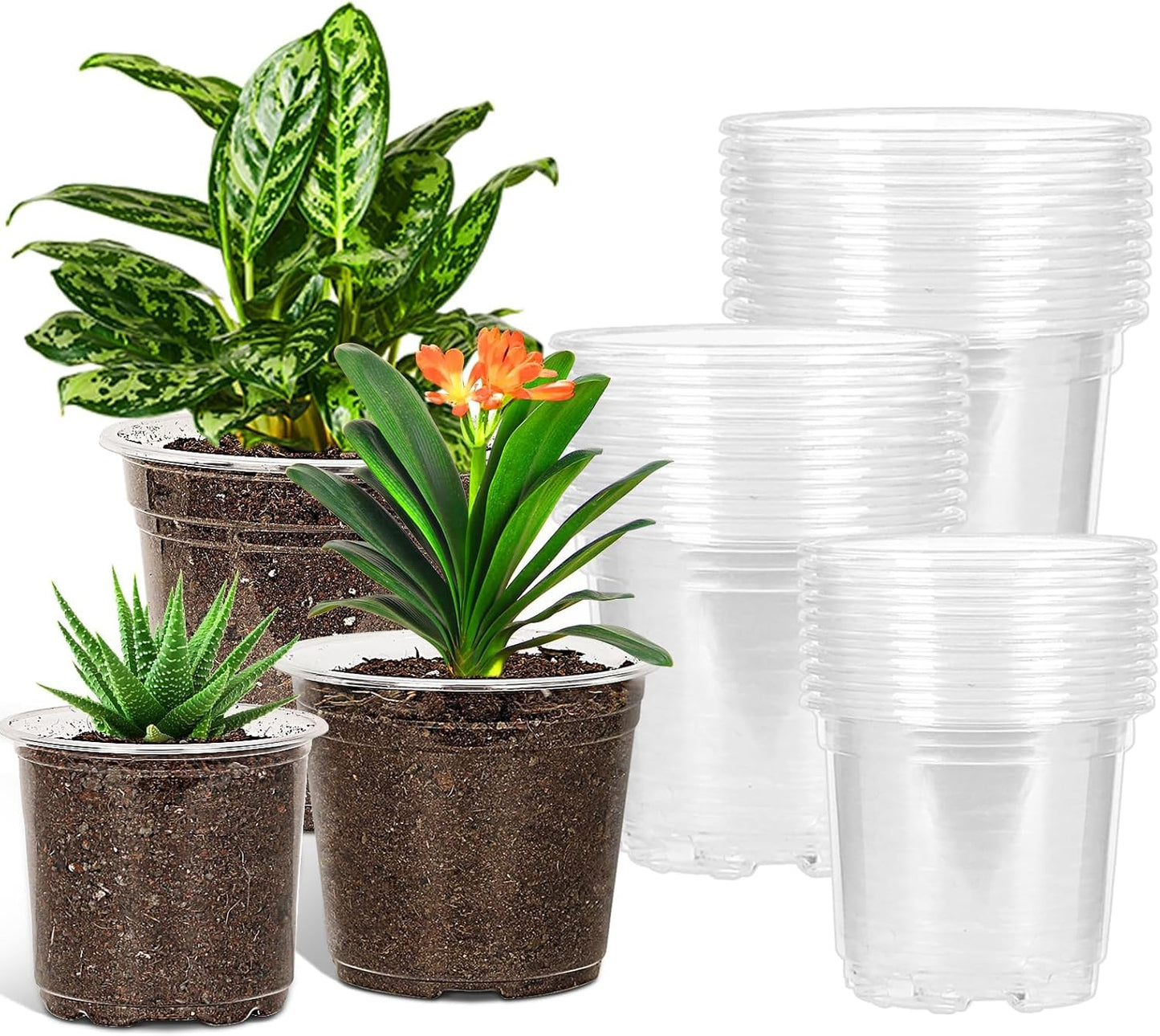 JERIA 30 Pack 5/6/7 Inch Clear Nursery Pots with Drainage Holes, Clear Plant Pot for Planting, Transparent Plastic Plant Pots,Durable Seed Starting Pot for Succulents