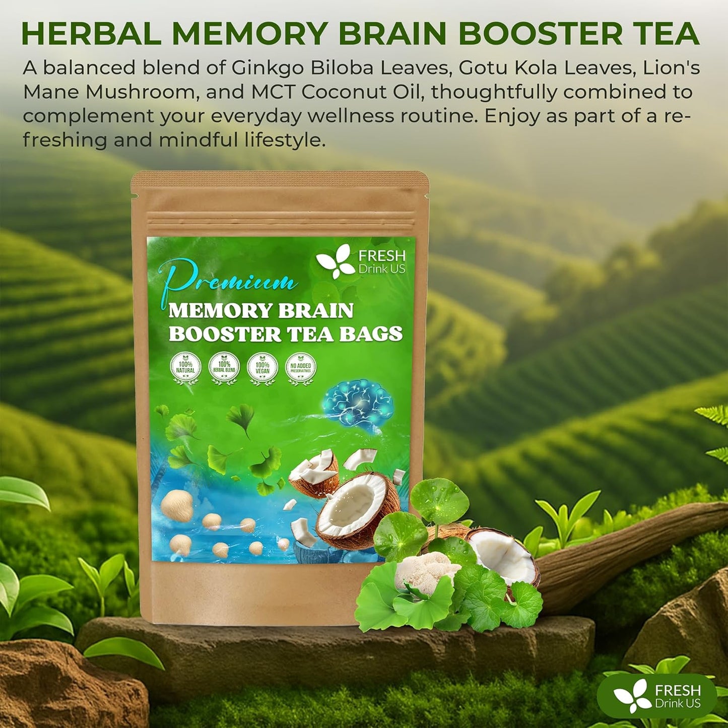 FreshDrinkUS, Memory Brain Booster Herbal Tea – 40 Tea Bags – Ginkgo Biloba, Gotu Kola, Lion's Mane & MCT Coconut Oil – Smooth, Earthy Flavor – Caffeine-Free – Daily Herbal Blend for Anytime Use
