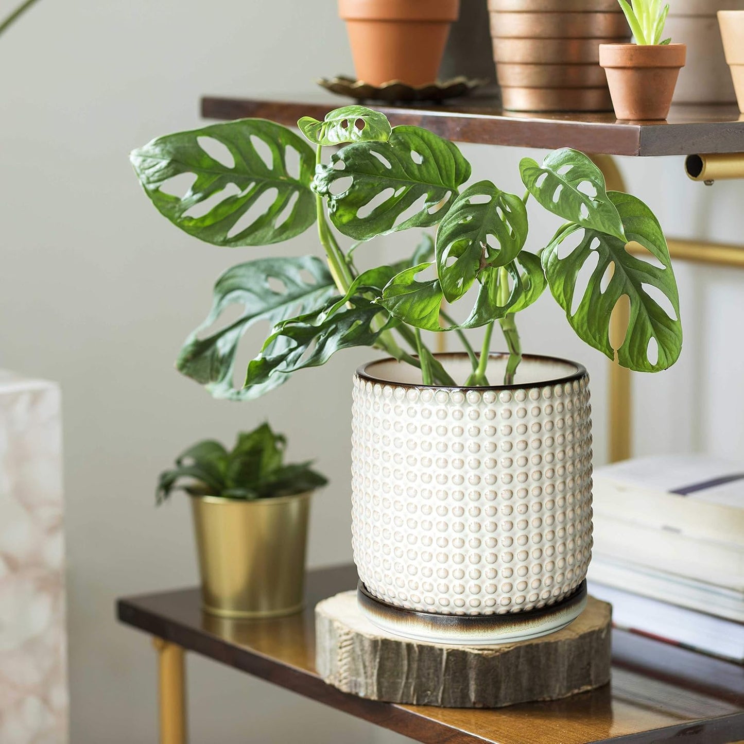 D'vine Dev Set of 2 Ceramic Plants Pots, 6 Inch Beaded Stoneware Flower Pot for Plants with Drainage Hole and Saucer, Smoked White, 27-E-X-1