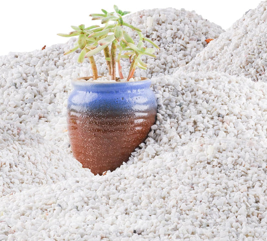 45lb White Cactus Pea Gravel Rocks,1/4 Inch Pebbles for Indoor Plants, Natural Succulent Rock and River Rocks Decorative for Aquariums, Vases, Outdoor Gardening, Top Dressing for Potted Plants