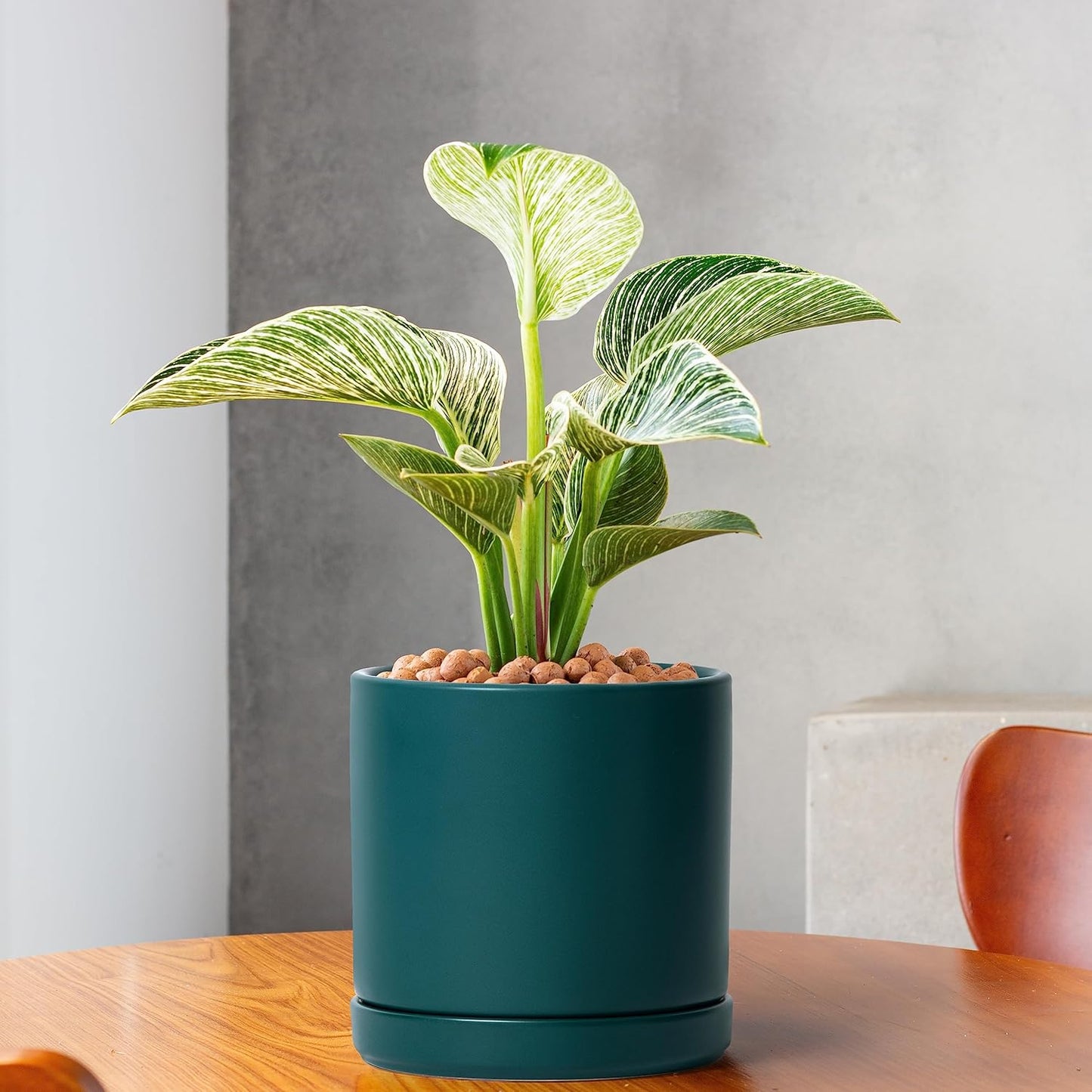 D'vine Dev Set of 2 Plants Pots, 6 Inch Ceramic Planter Pot for Plants with Drainage Hole and Saucer, Teal, 94-V-C-9