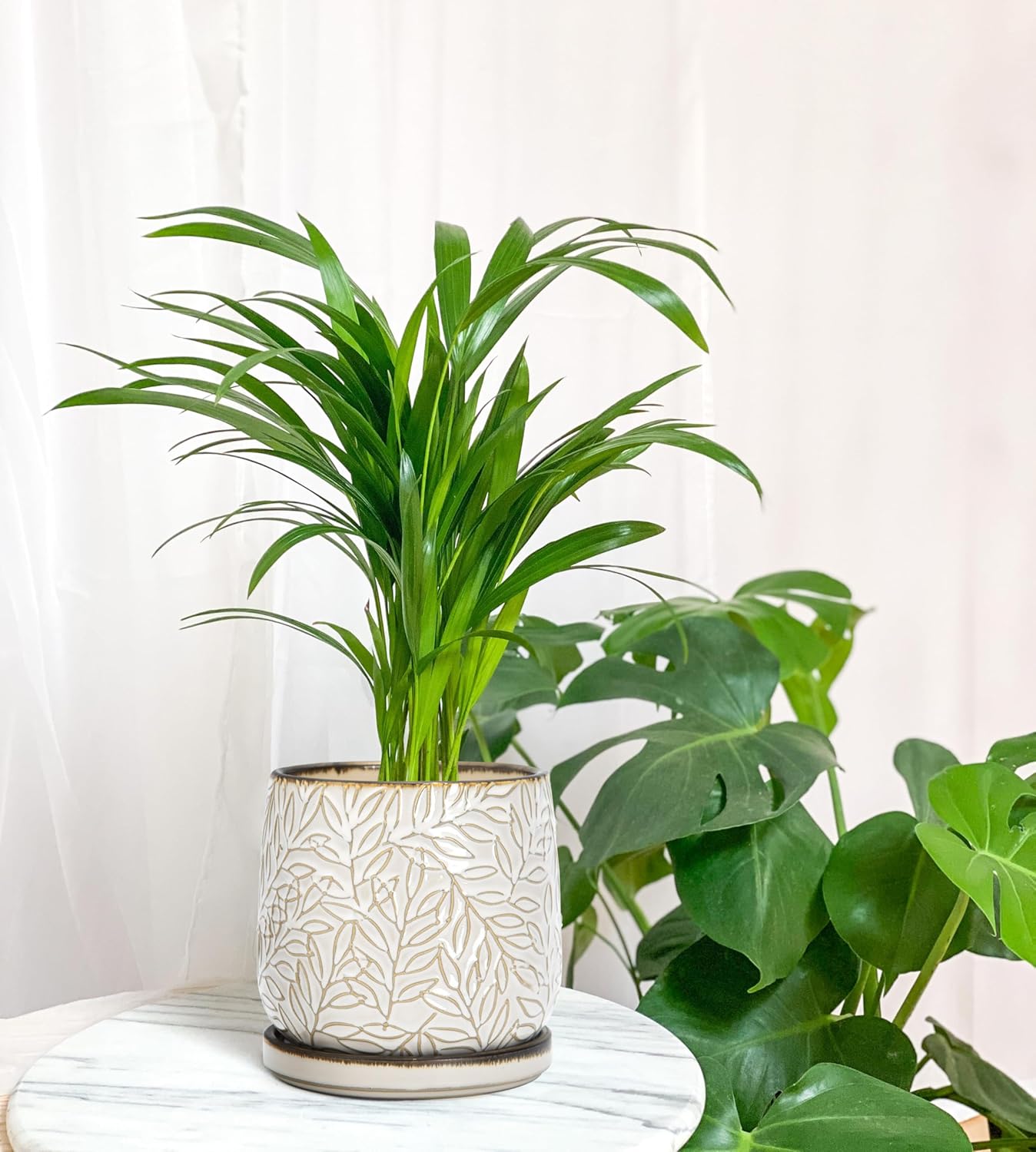 D'vine Dev 6 Inch Embossed Leaves Stoneware Planter Pot with Drainage Hole and Saucer, Smoked White, Set of 2, 27-F-X-1