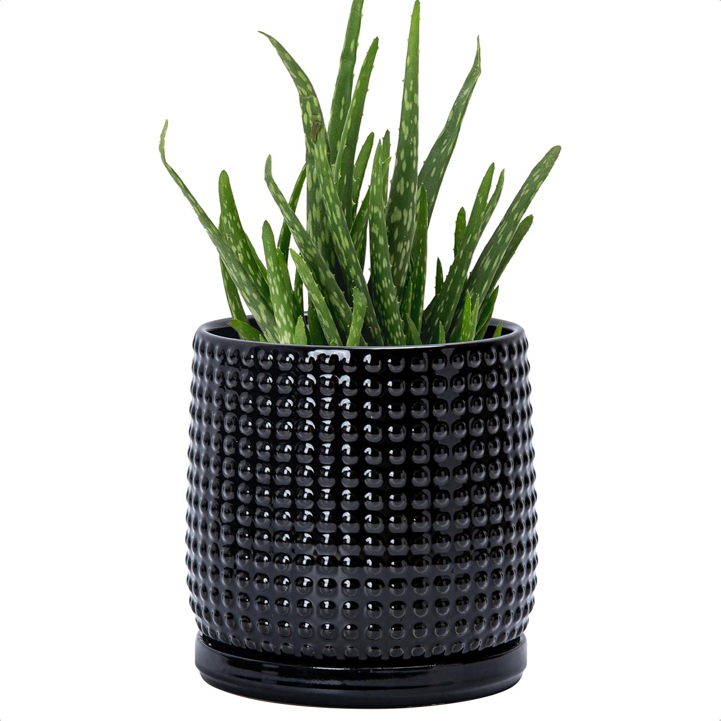 D'vine Dev 6 Inch Ceramic Beaded Stoneware Planter Pot - Flower Pot with Drainage Holes and Saucers for Indoor Succulent Plants or Flowers, Glossy Black, 27-C-X-2