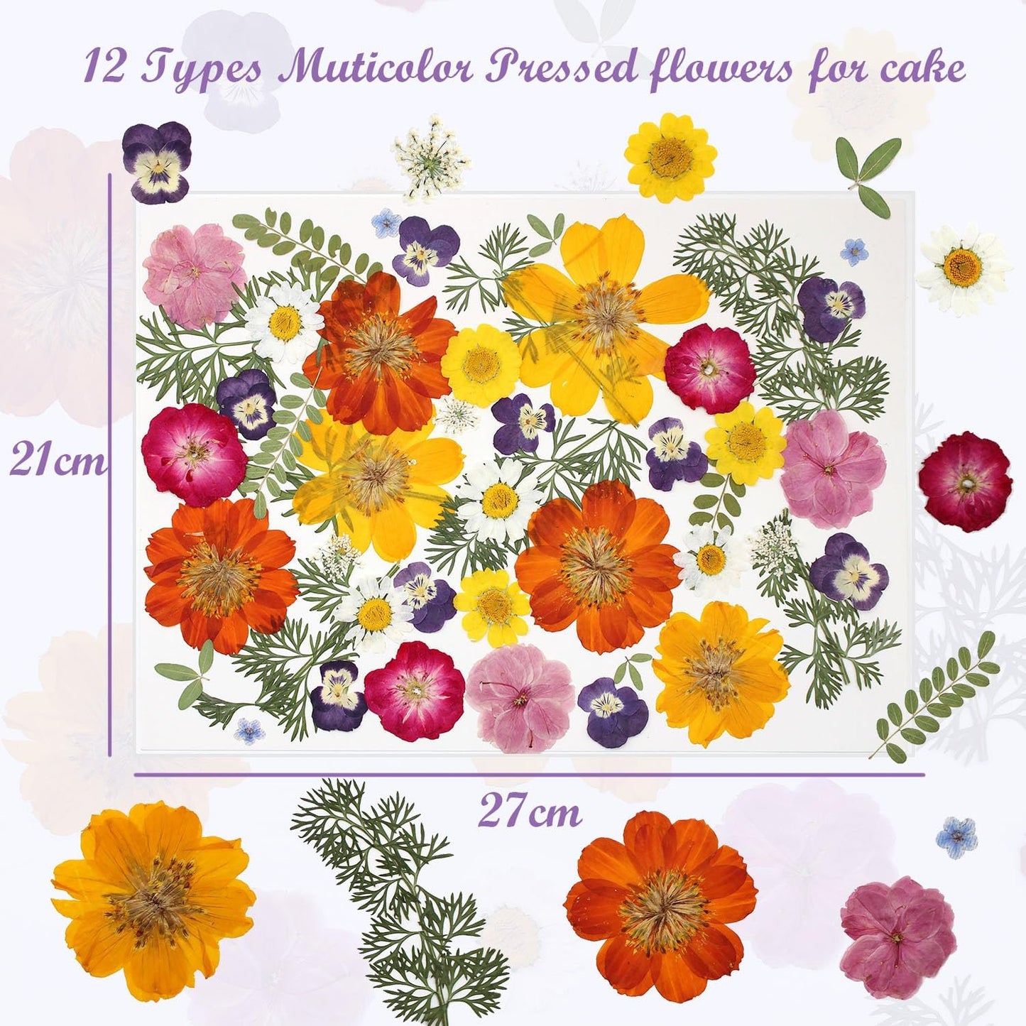 48 Pcs Mix Natural Dried Pressed Flowers for Cake Decorating, Real Dry Flower for Resin Jewelry Making, DIY Art Crafts - Muticolor