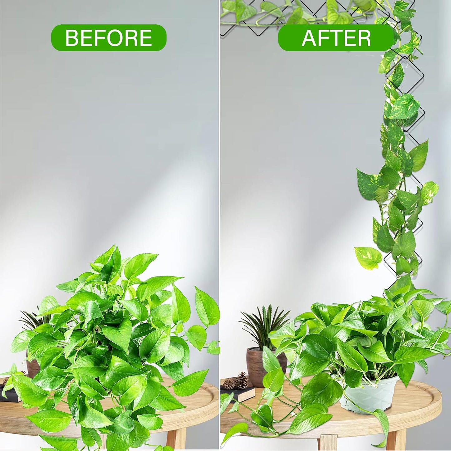 2 Pack 36pcs Chain Trellis for Climbing Plants Indoor & Outdoor, Garden Wall Plant Trellis Plant Vine Support Houseplant Accessories and Plant Gifts for Vine, Ivy, Monstera,Pothos