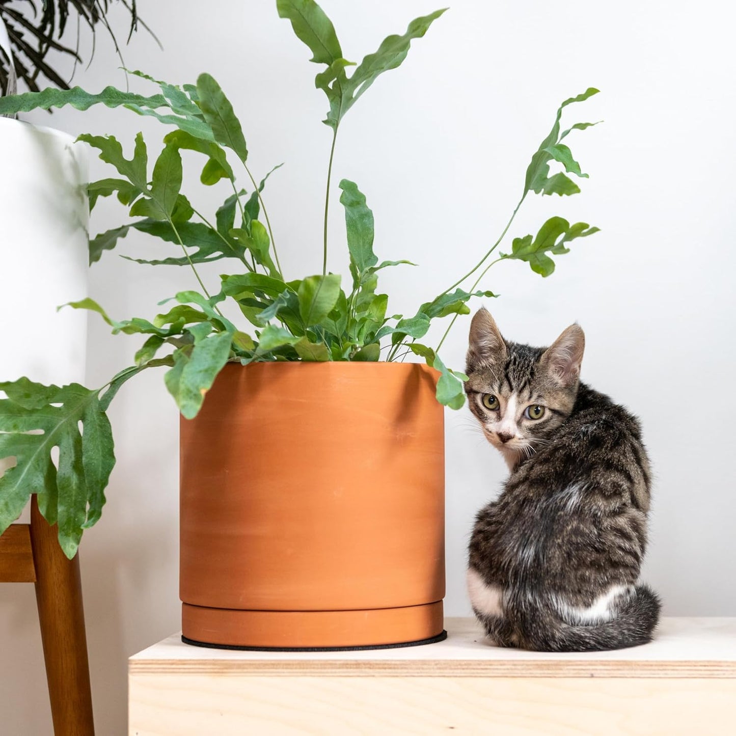 D'vine Dev Terracotta Pots for Plants, 5.3 Inch 6.5 Inch 8.3 Inch, Round Cylinder Planter Pot with Drainage and Saucer, 40-T-B-0