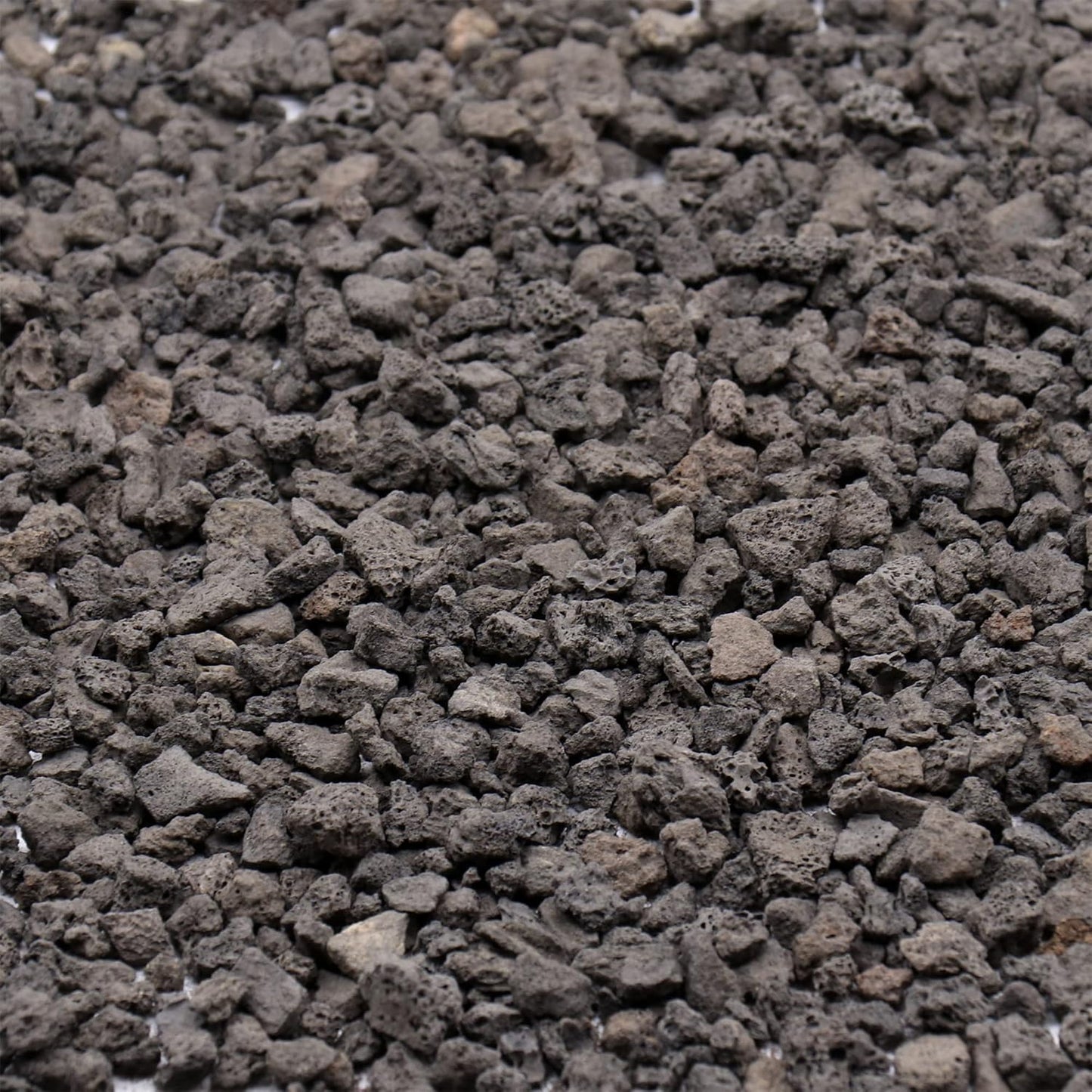 Volcanic Rock for Plants. Black Lava Rock. 1/5 Inch - 2 lbs for Potting Soil, Succulents, Pots, Plants, Indoor, Crafting, Vase Fillers (Mini (0.2 Inch), Horticultural - Black Lava, 2)
