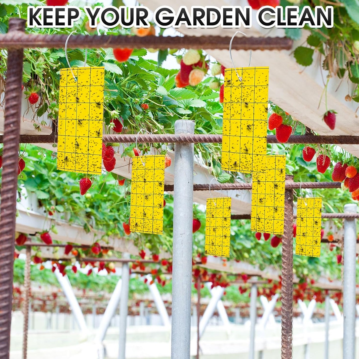200 Pcs Dual Side Sticky Fruit Fly Trap with Tie, Yellow Traps for Gnats, 3 * 5 Inch Plant Sticky Trap for Flying Insect Fungus Bugs Catcher for Indoor Outdoor