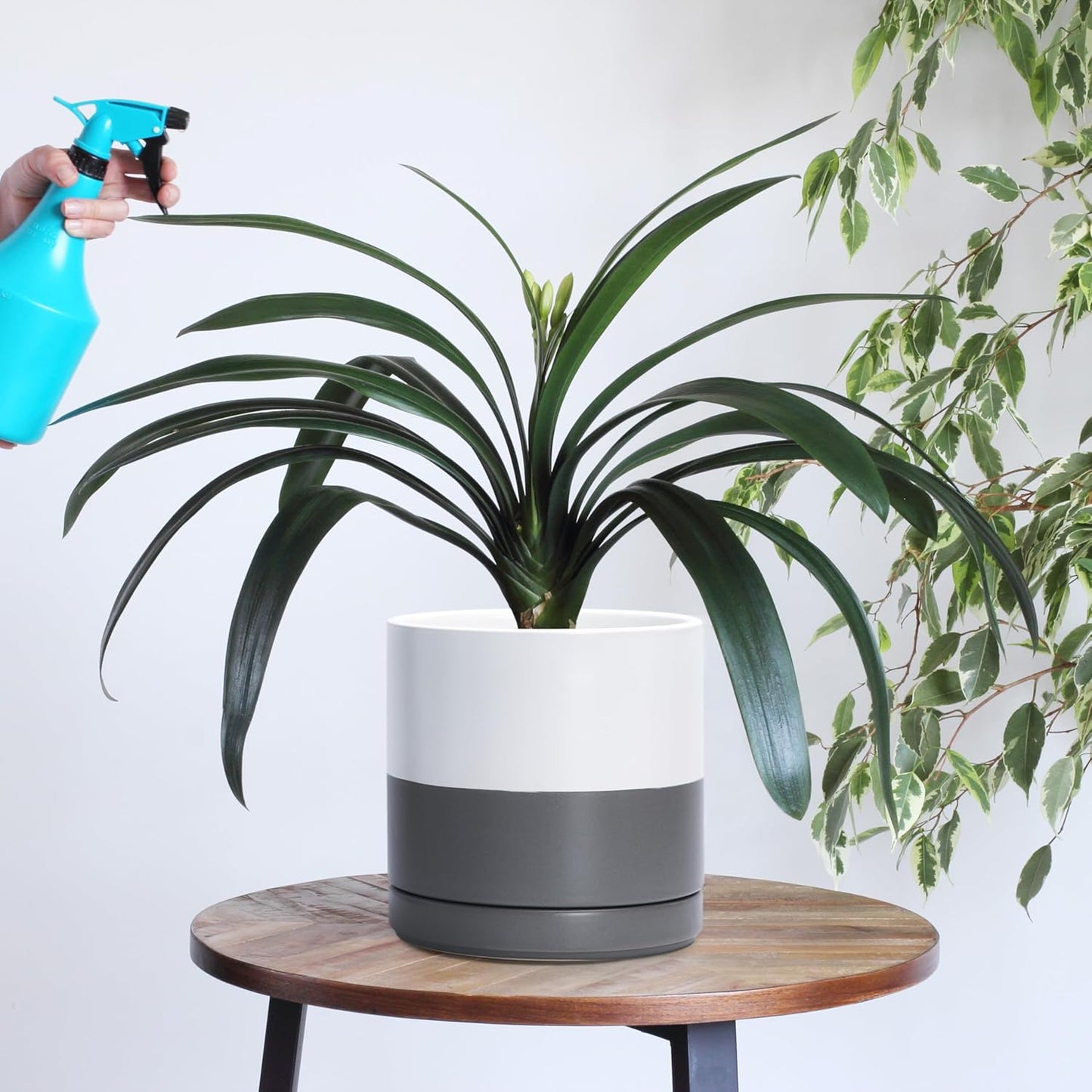 D'vine Dev 6 Inch & 8 Inch & 10 Inch, Set of 3 Round Ceramic Planter Pot with Drainage Hole and Saucer, White/Speckled Grey, 94-T-L-6