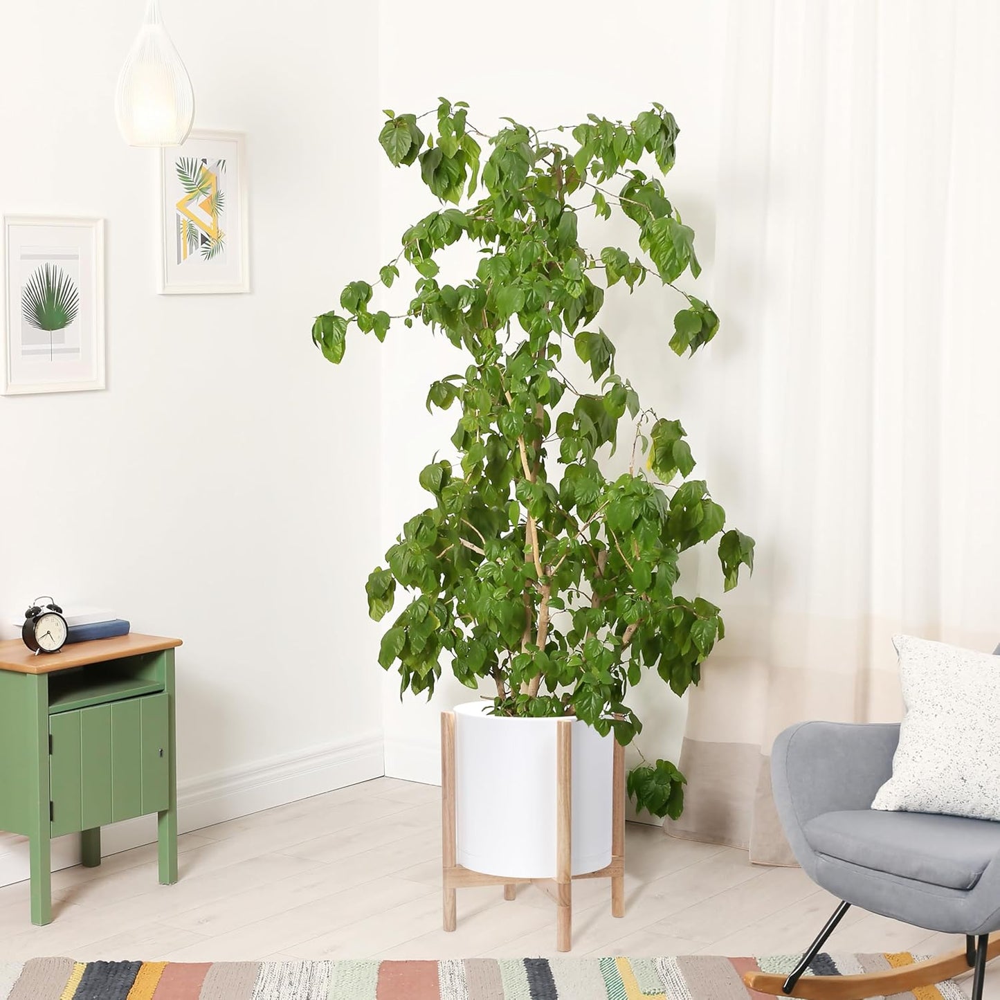 D'vine Dev Planter Pot with Stand - 14 Inch Plastic Cylinder Flower Pot with Wood Planter Holder for Indoor, Matte White Pot + Natural Stand, 55-C-S-1