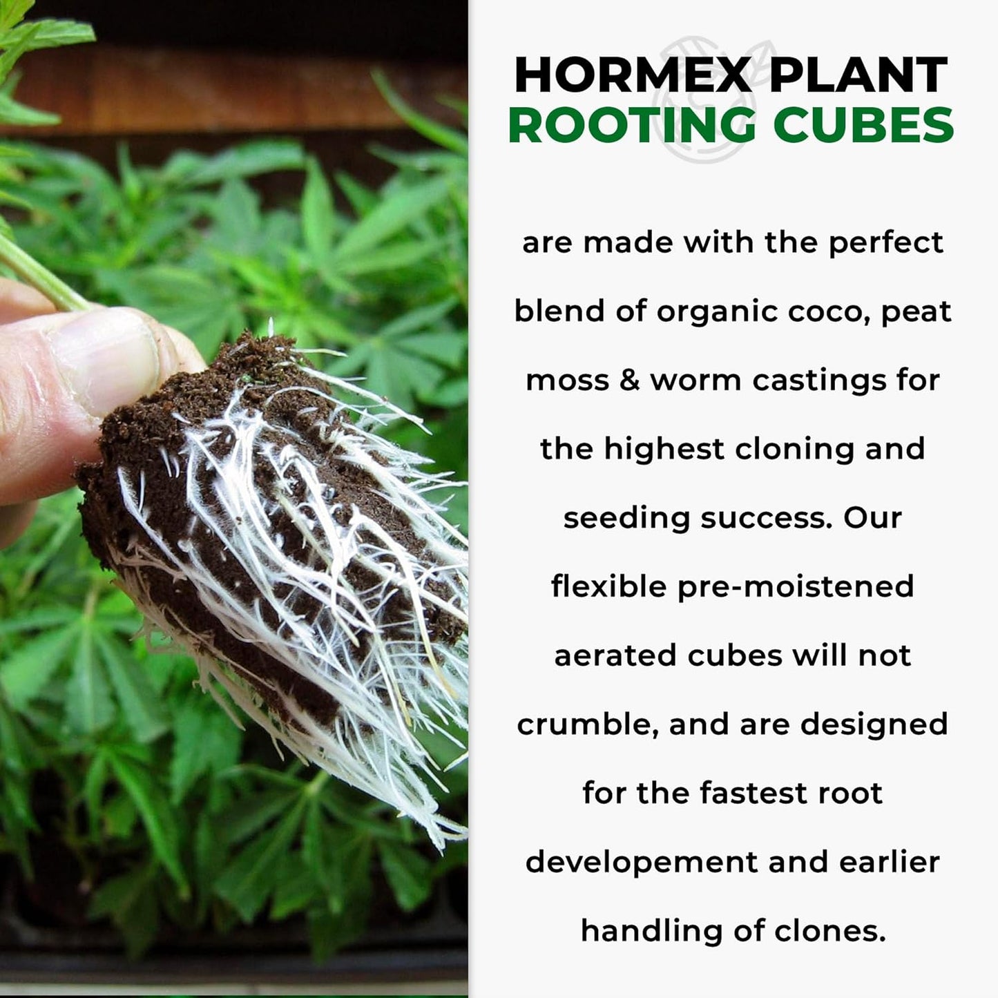 Hormex Rooting Cubes - Peat Moss & Coco Plugs for Cloning Plants from Cuttings and Seed Starting - Organic Plant Starter for Strong Root Growth - Ideal for Home, Indoor and Outdoor Gardening - 50 Pack