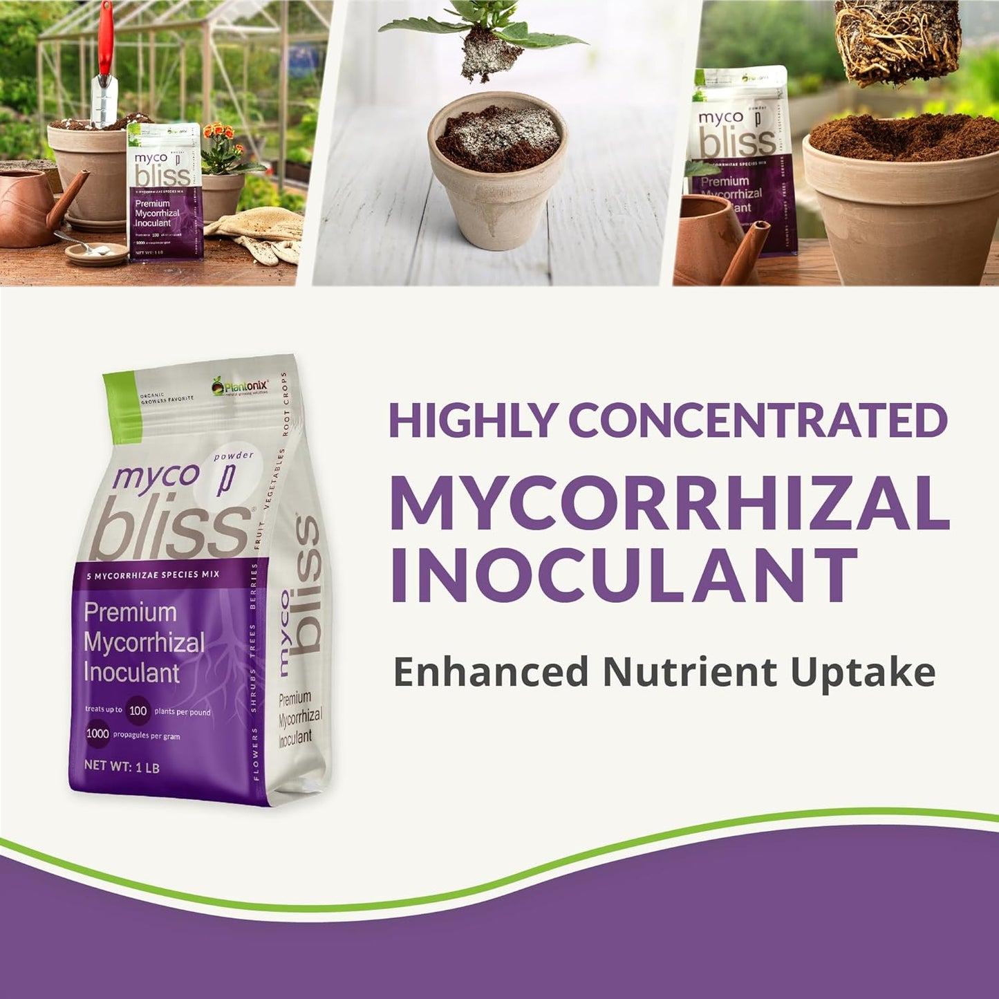 Myco Bliss Powder (200 g) - Mycorrhizal Fungi for Plants - 5 Strain Mycorrhizal Inoculant with 1000 Propagules Per Gram - Highly Concentrated Mycorrhizae for Plants, Gardening, & Potting Soil