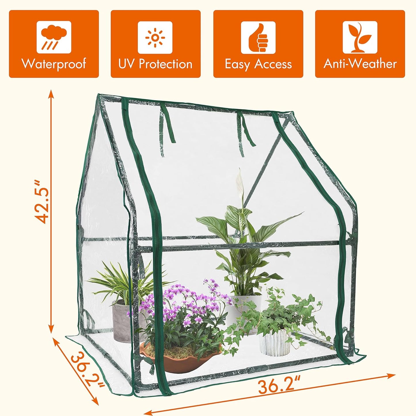 Gardzen Mini Greenhouse Heavy Duty Portable Green House, Clear Tent Small Greenhouse for Indoor Outdoor Plants 36.2”(L) x36.2”(W) x42.5”(H)