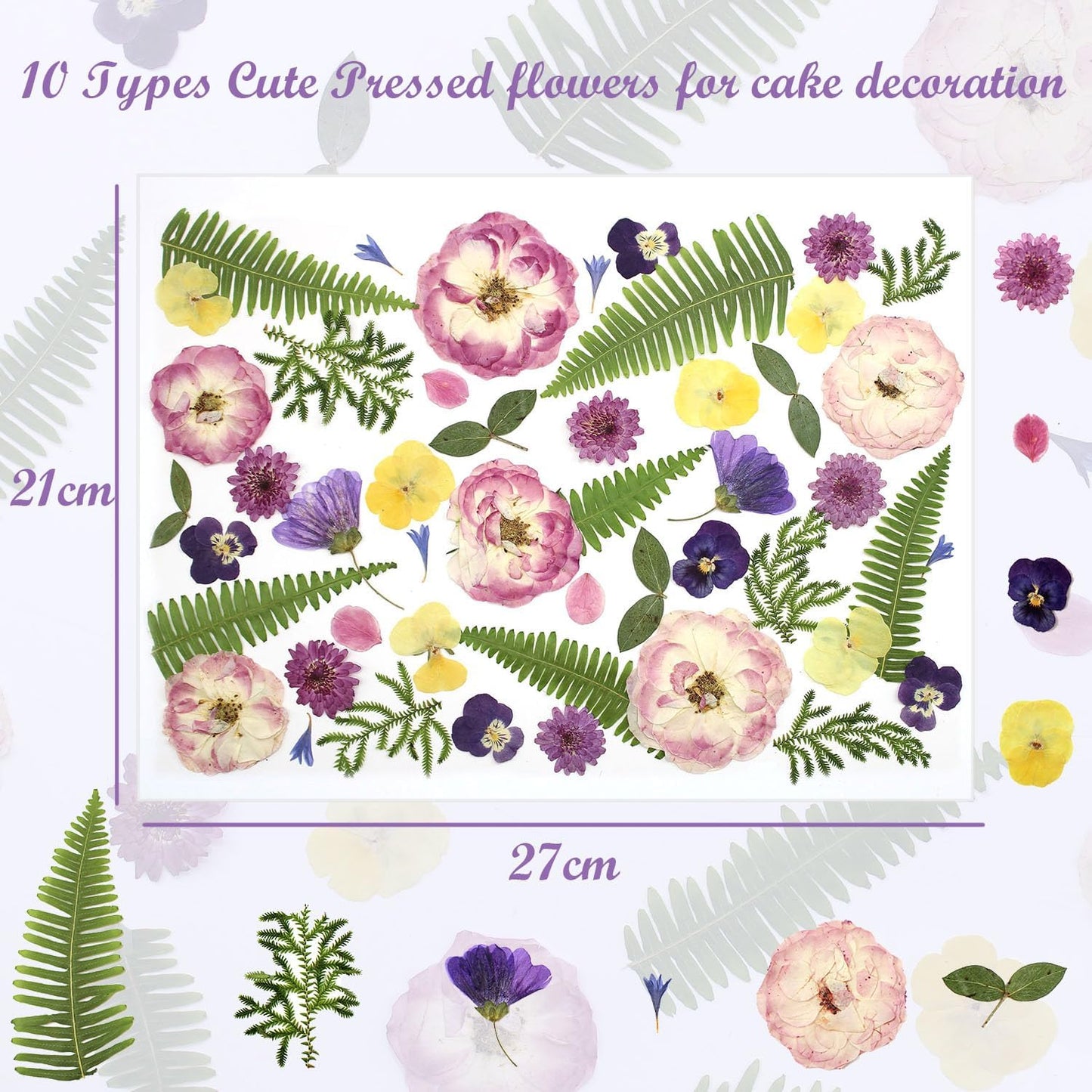 48 Pcs Mix Natural Dried Pressed Flowers for Cake Decorating, Real Dry Flower for Resin Jewelry Making, DIY Art Crafts - Lovely