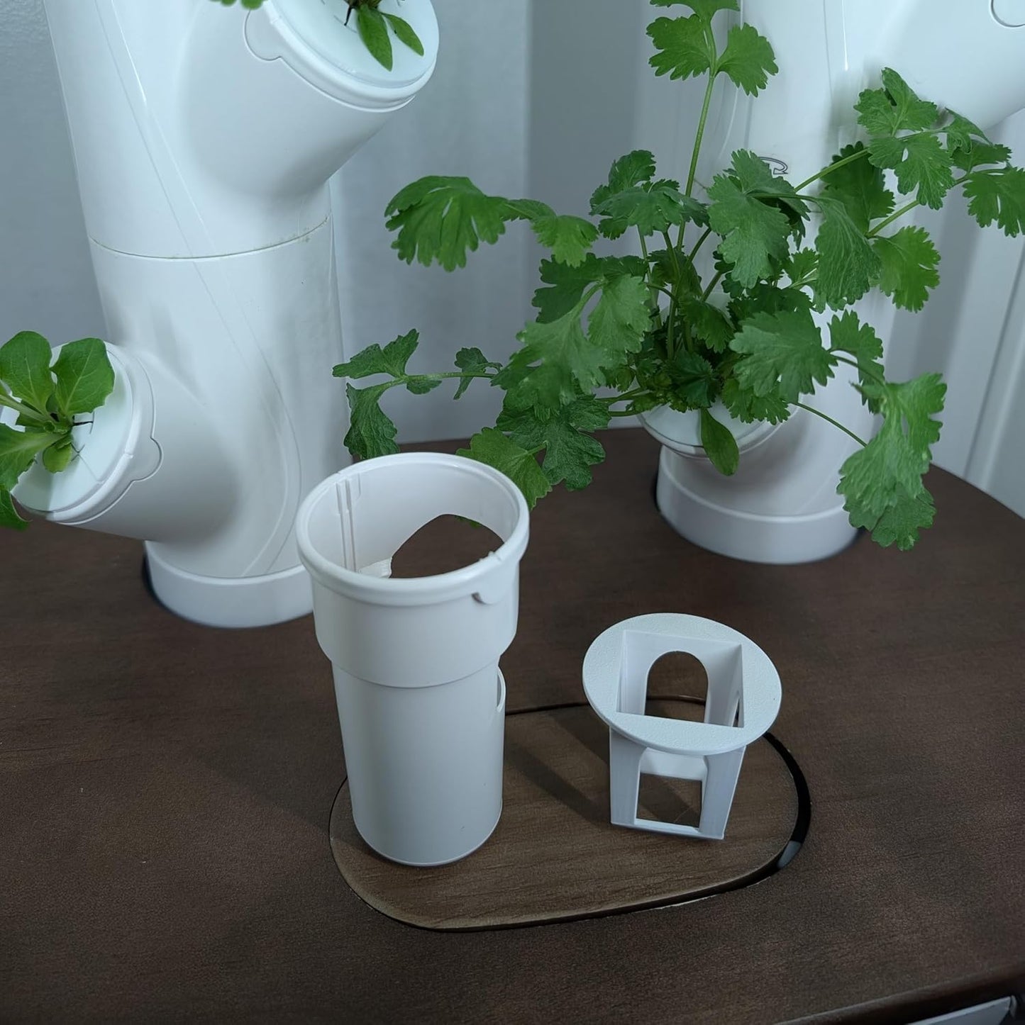 Grow Cubes for Hydroponic System/Compatible with Gardyn (20 Grow Cubes)