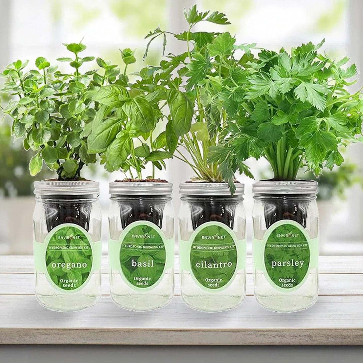 Hydroponic Herb Growing Kit Set, Self-Watering Mason Jar Herb Garden Starter Kit Indoor, Grow 4 Kinds of Herbs from Seeds (Cilantro,Basil,Parsley&Oregano)
