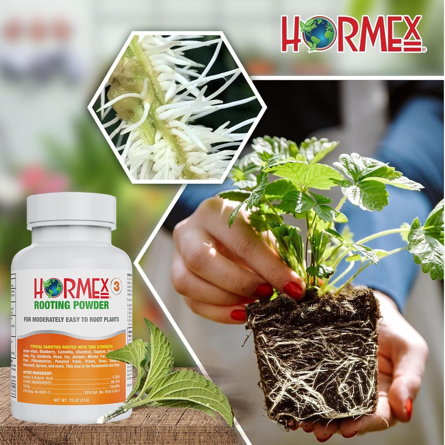 Hormex Rooting Powder #3 & Rooting Cubes Combo - Rooting Hormone for Semi-Softwood Cuttings & Organic Peat Moss Coco Plugs - Fast, Healthy Root Growth for Propagation, Hydroponics, & Seed Starting