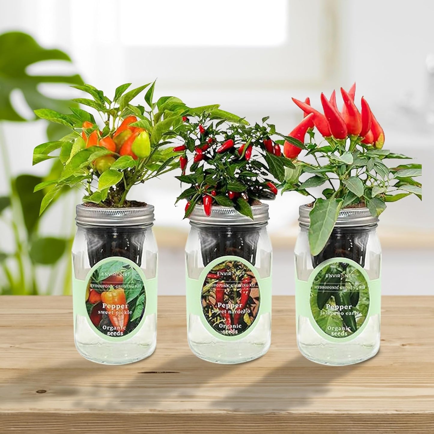 Hydroponic Mason Jar Indoor Garden Organic Seed Starter Kits - Pepper Trio Garden Growing Kits, Gardening Gift (Sweet Nardello Pepper, Jalapeño Early Pepper, Sweet Pickle Pepper)