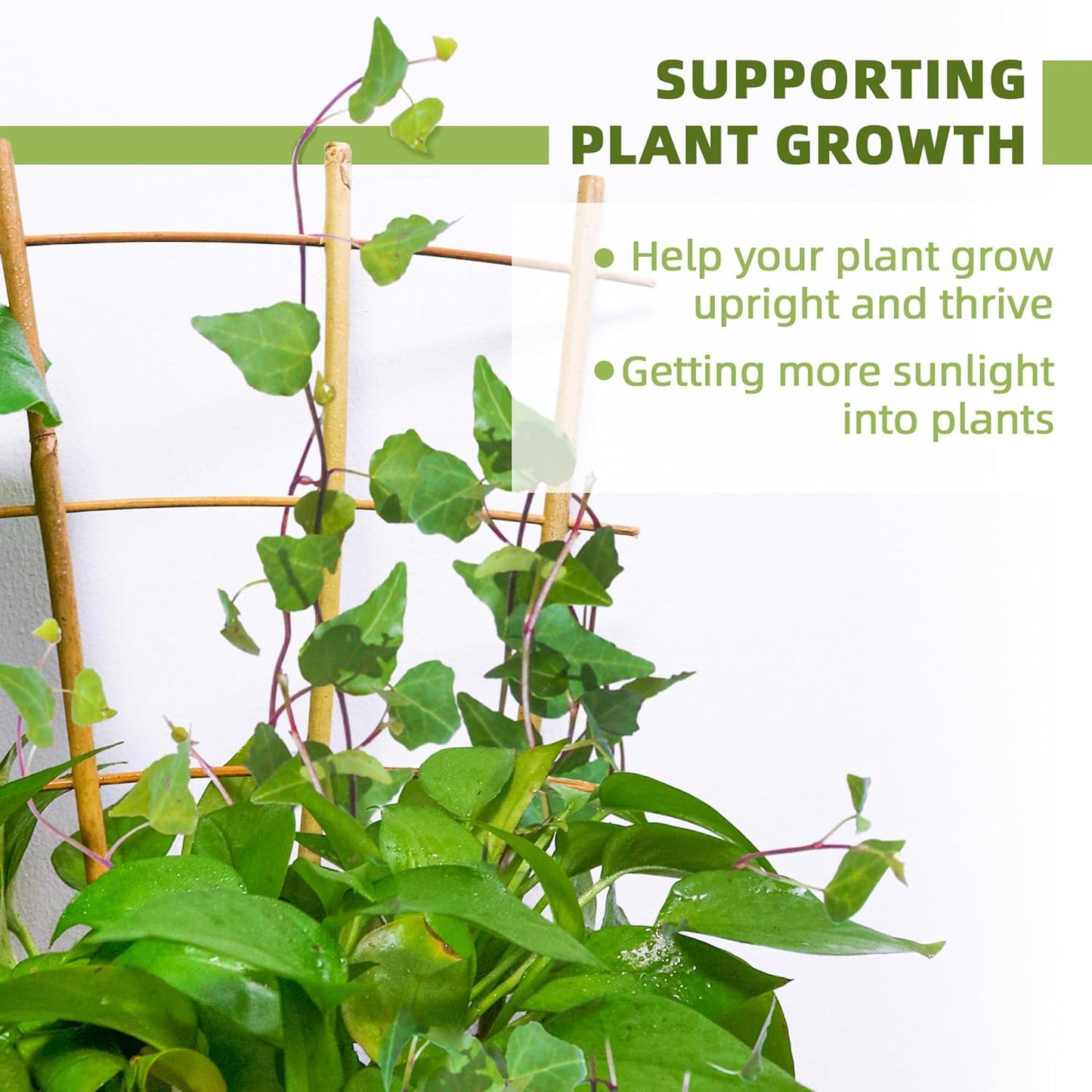 5 Pack 16" Bamboo Trellis for Climbing Plants-Natural Garden Ladder Fan -Shaped Plants Support Trellis for Potted Plant Decor in Door