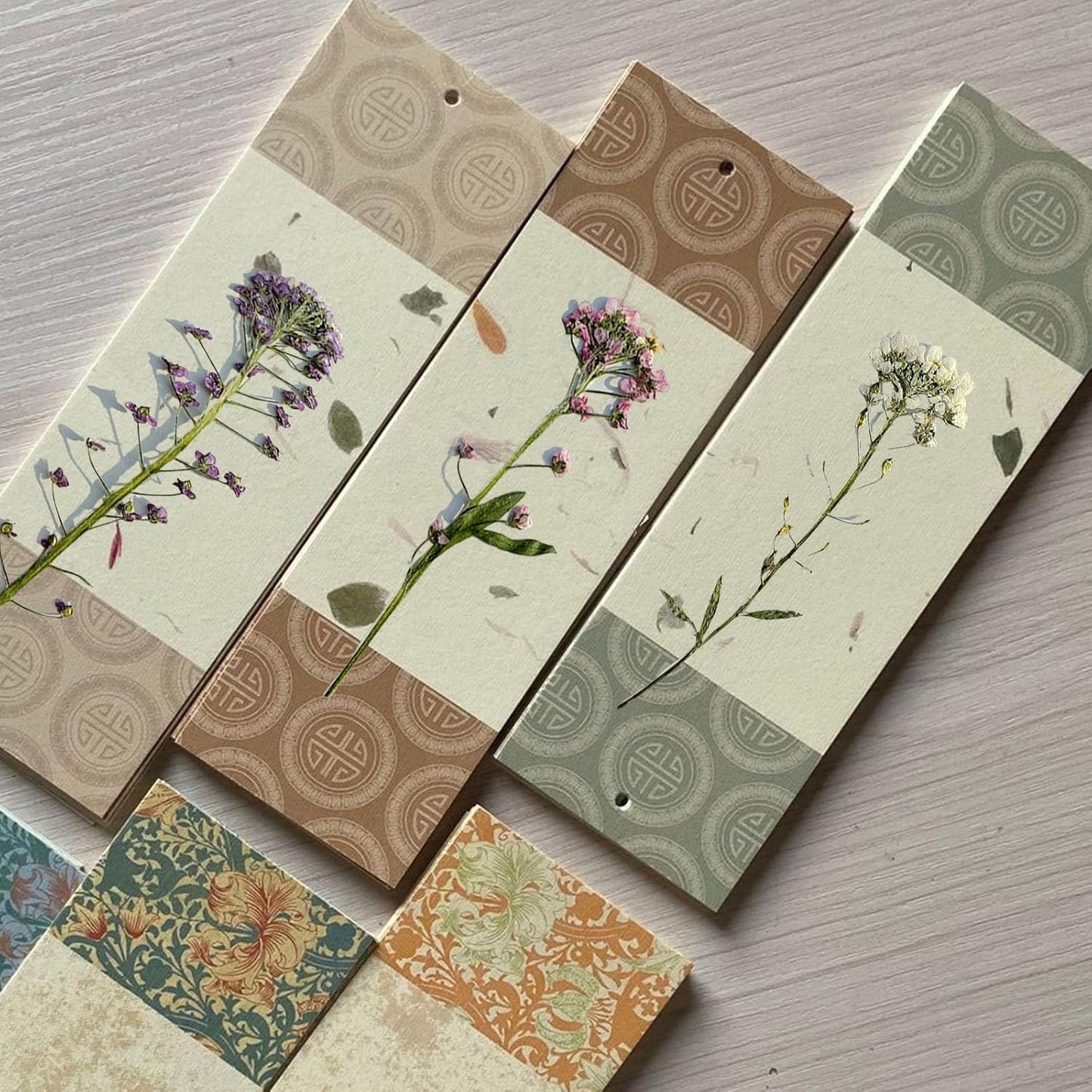 48 Pcs Mix Natural Dried Pressed Flowers for Cake Decorating, Real Dry Flower for Resin Jewelry Making, DIY Art Crafts - Sweet Alyssum