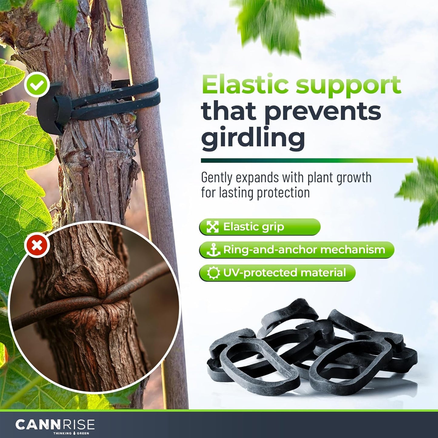 Anchor Rubber Bands for Trellising – 70 Pack of 8 cm/3.14 inches Rubber Bands for Outdoor Plant Support, Climbing Plants, Grape Vines, Trees – UV-Protected, Elastic, Multi-Purpose Use