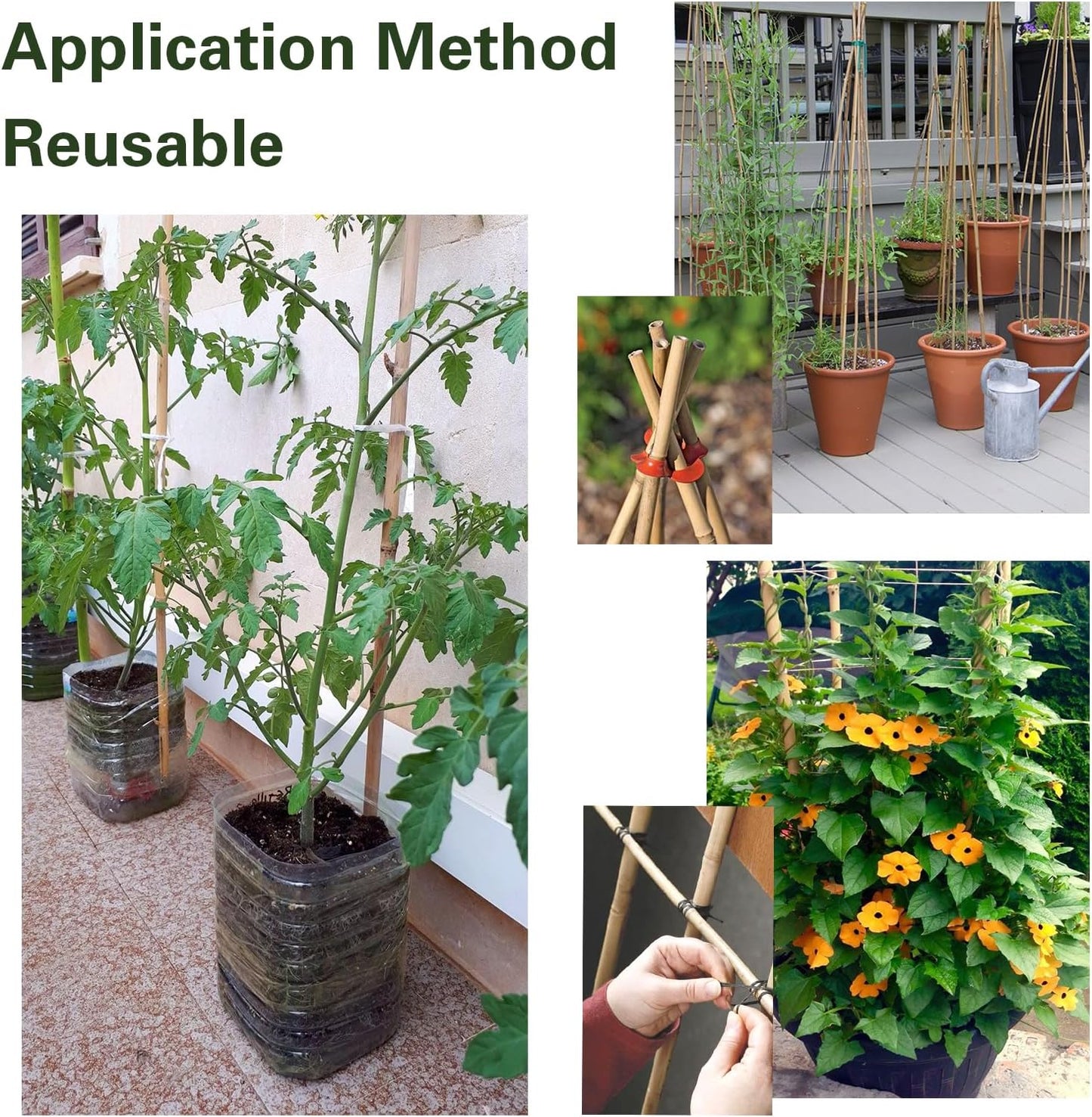 Bamboo Stakes 7 Feet, 84 inch Garden Stakes Multi-Purpose, Bamboo Plant Support Stakes for Tomatos, Beans, Cucumbers, Peppers, Potted Trees, Maintain The Plant Posture, Strengthen and Stem