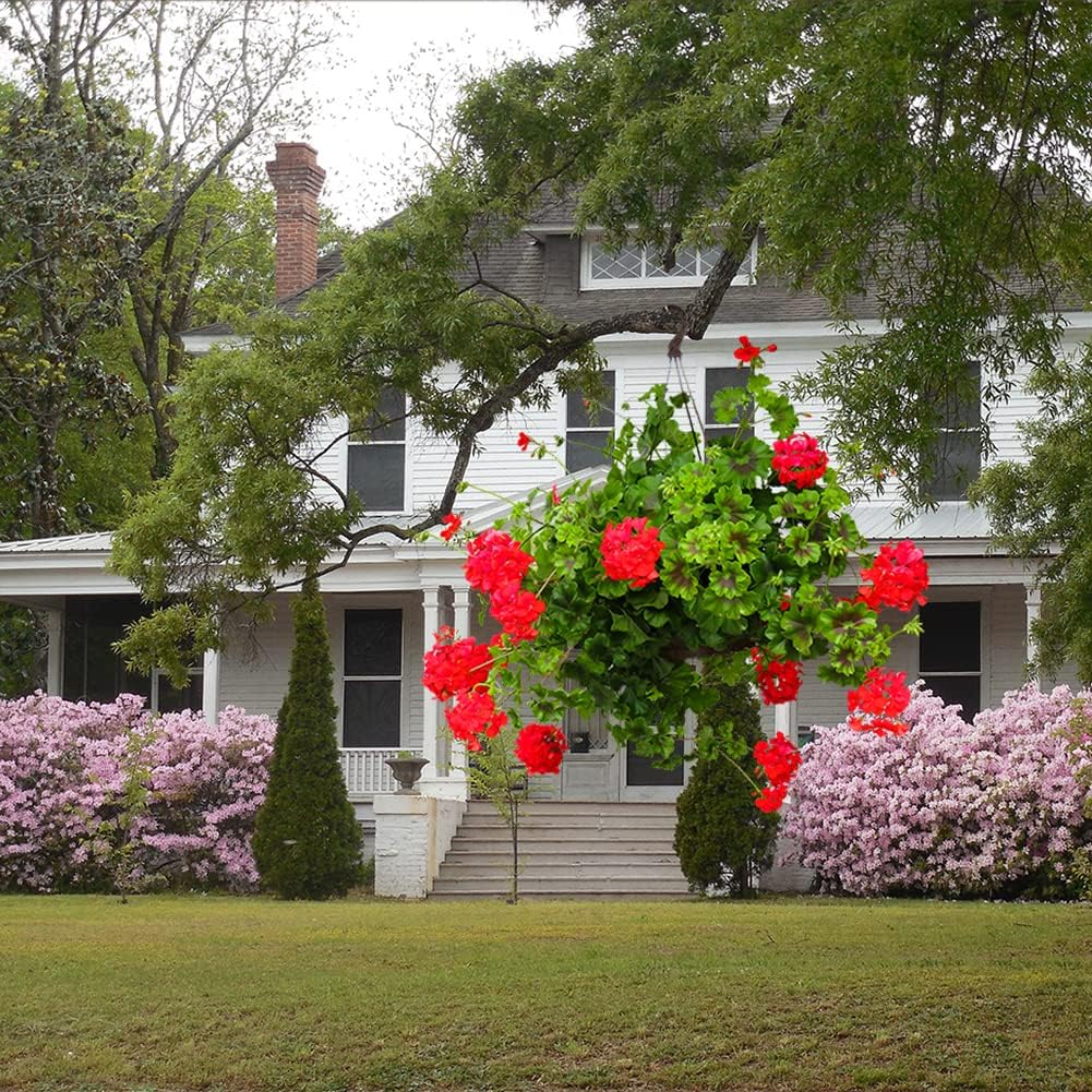2PCS Hanging Basket Liners Coco Liner 8 Inch Round Coconut Coir Basket for Plants Replacement for Hanging Basket 100% Natural Coconut Fiber Plant Basket Liner for Garden Planter Flower Pot