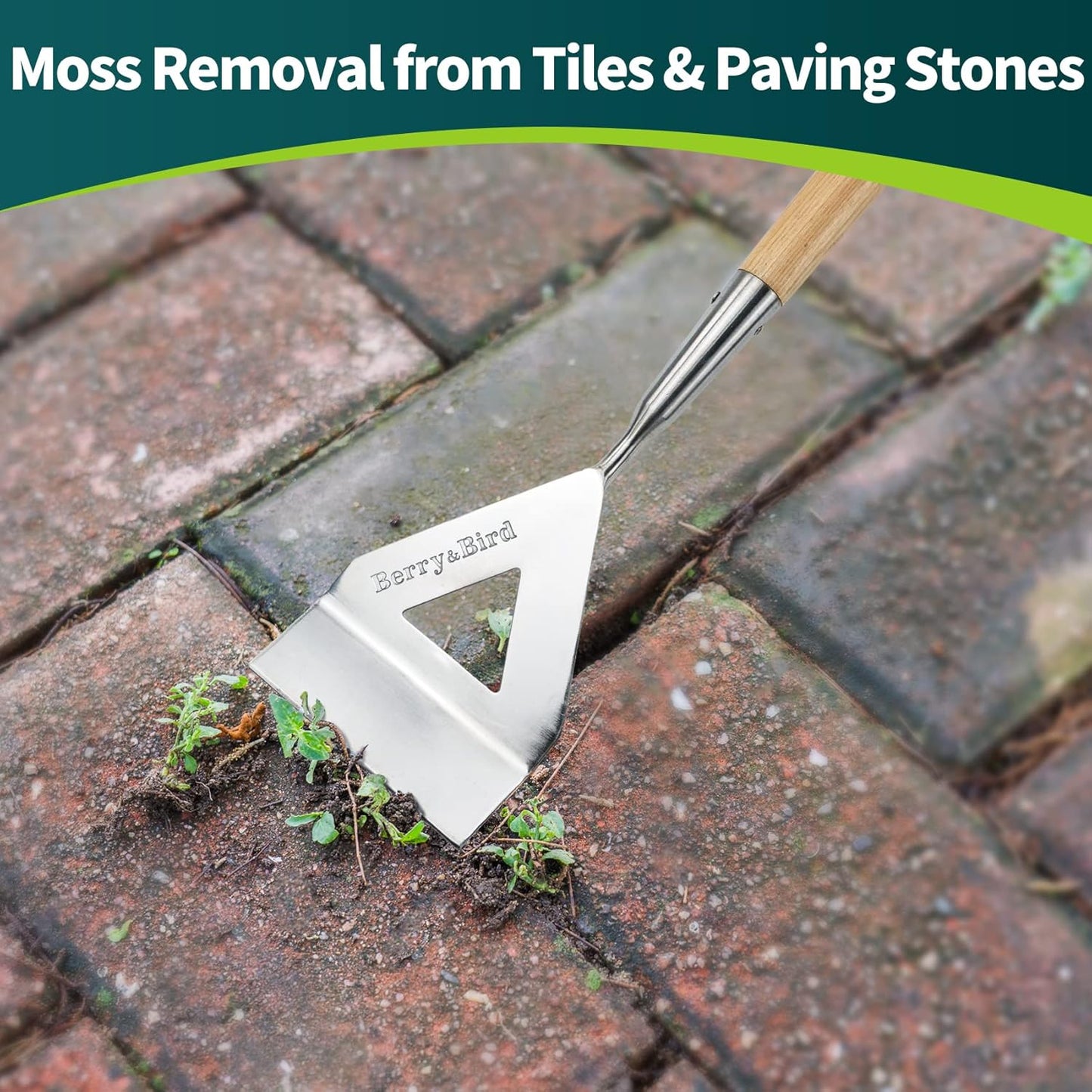 Berry&Bird Dutch Hoe, Stainless Steel Head with Wooden Handle Weeder, Women Heavy Duty Garden Tool for Weeding and Cultivating