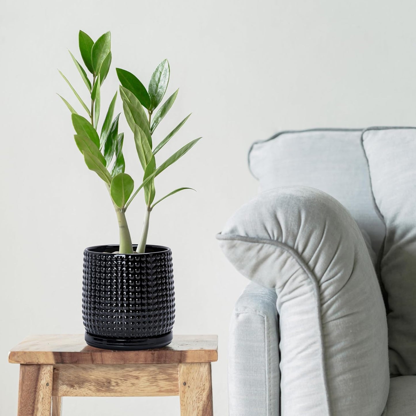 D'vine Dev 6 Inch Ceramic Beaded Stoneware Planter Pot - Flower Pot with Drainage Holes and Saucers for Indoor Succulent Plants or Flowers, Glossy Black, 27-C-X-2