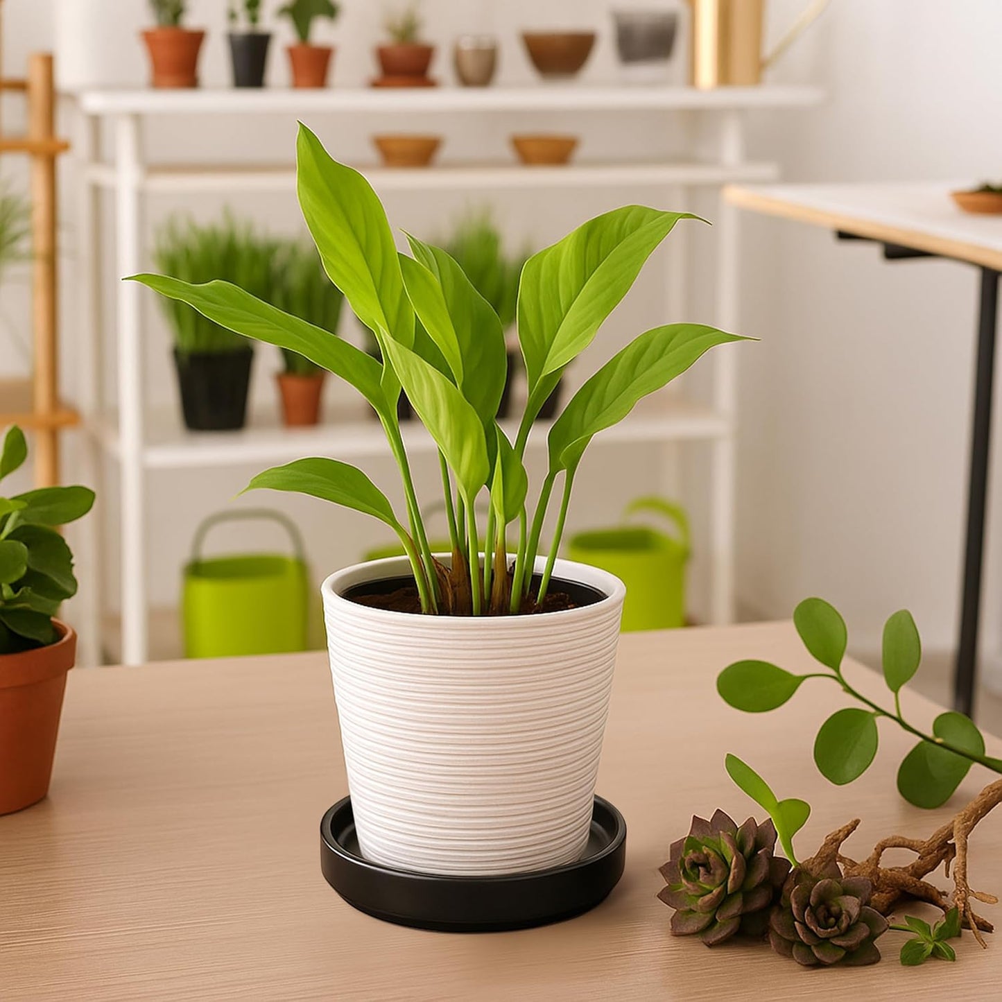 D'vine Dev Modern Round 5.4 Inch Ceramic Plant Pot Saucer, Planter Pot Drainage Tray for Indoor Plants, Matte Black, 97-T-B-2