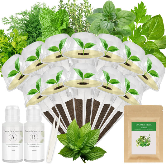 Gourmet Herbs Seed Pod Kit for AeroGarden, iDoo, Ahopegarden, MUFGA Hydroponics Garden with Basil, Parsley, Thyme, Mint, Cilantro, Dill, Oregano - Compatible with All Hydroponics (12-Pod)