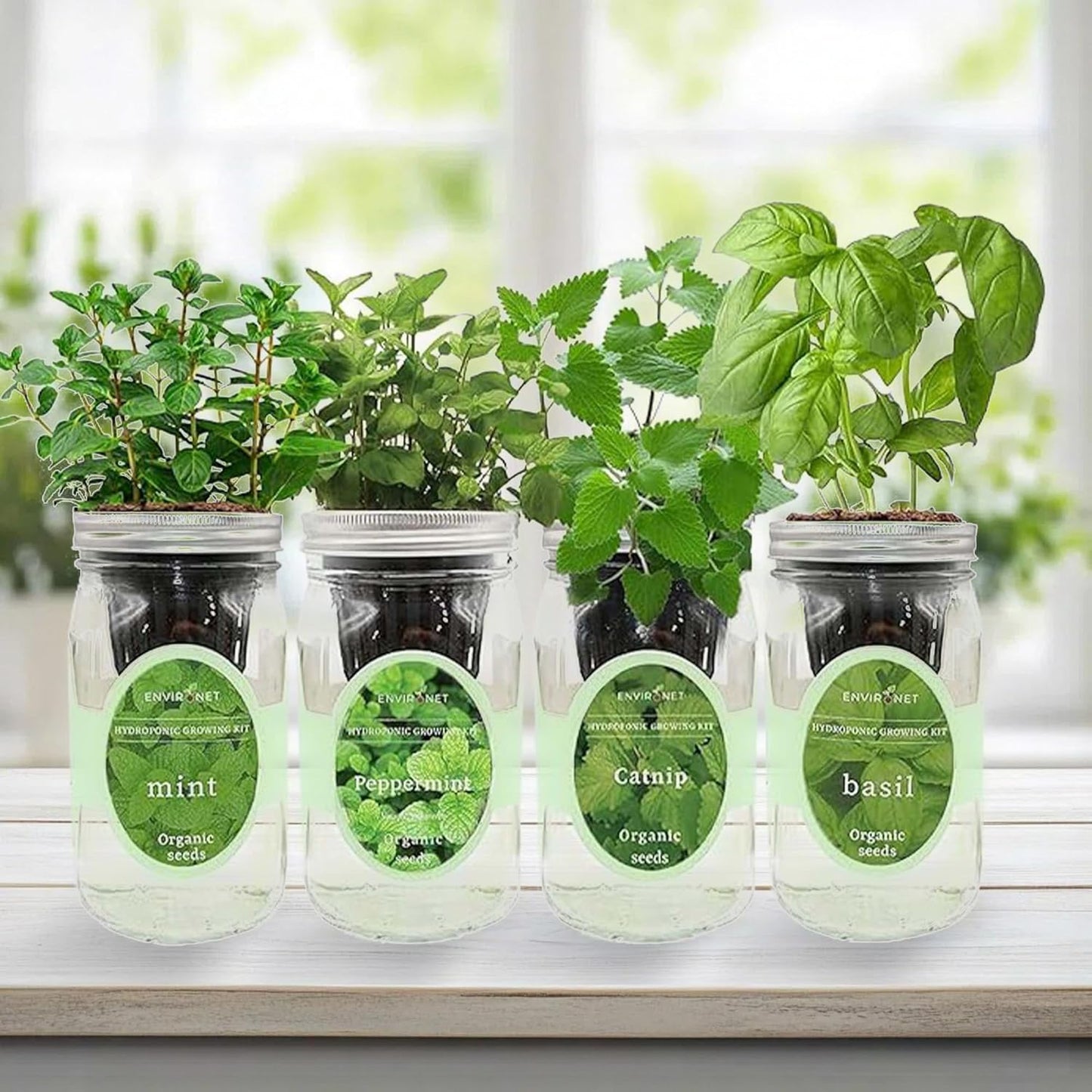 Hydroponic Herb Growing Kit Set, Self-Watering Mason Jar Herb Garden Starter Kit Indoor, Grow 4 Kinds of Herbs from Seeds (Catnip,Peppermint,Mint&Basil)