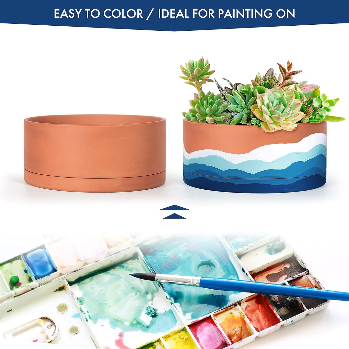 D'vine Dev 8 Inch Succulent Terracotta Shallow Pot with Drainage Hole and Saucer, Round Cylinder Planter Pot for Plant Flower, 40-Y-A-0