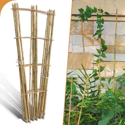 10 Pack 4ft Bamboo Trellis for Climbing Plants-Natural Garden Ladder Trellis, Fan -Shaped Support Trellis for Potted Plant Decor in Door