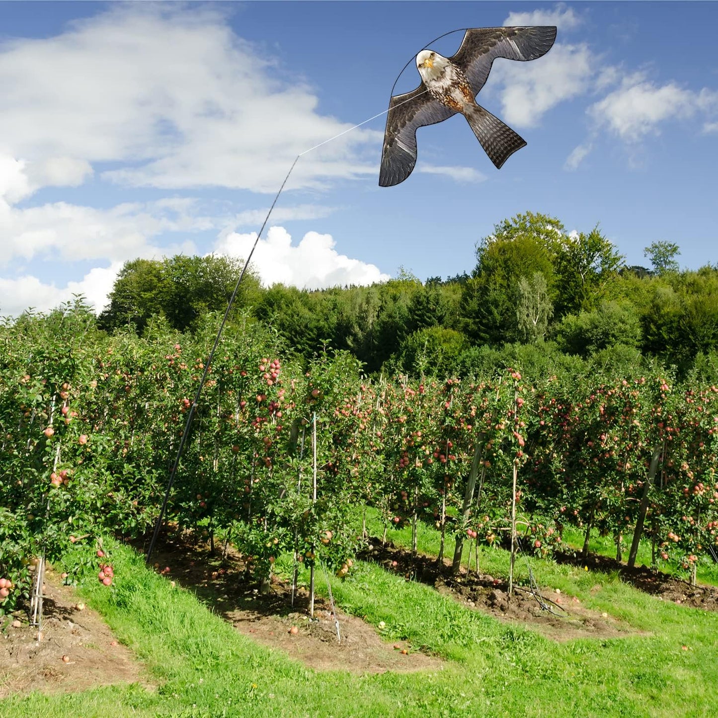 Bird Hawk Flying Kite for Crops Farm Protector Bird Scarer Kites Without Pole-Style B Kite