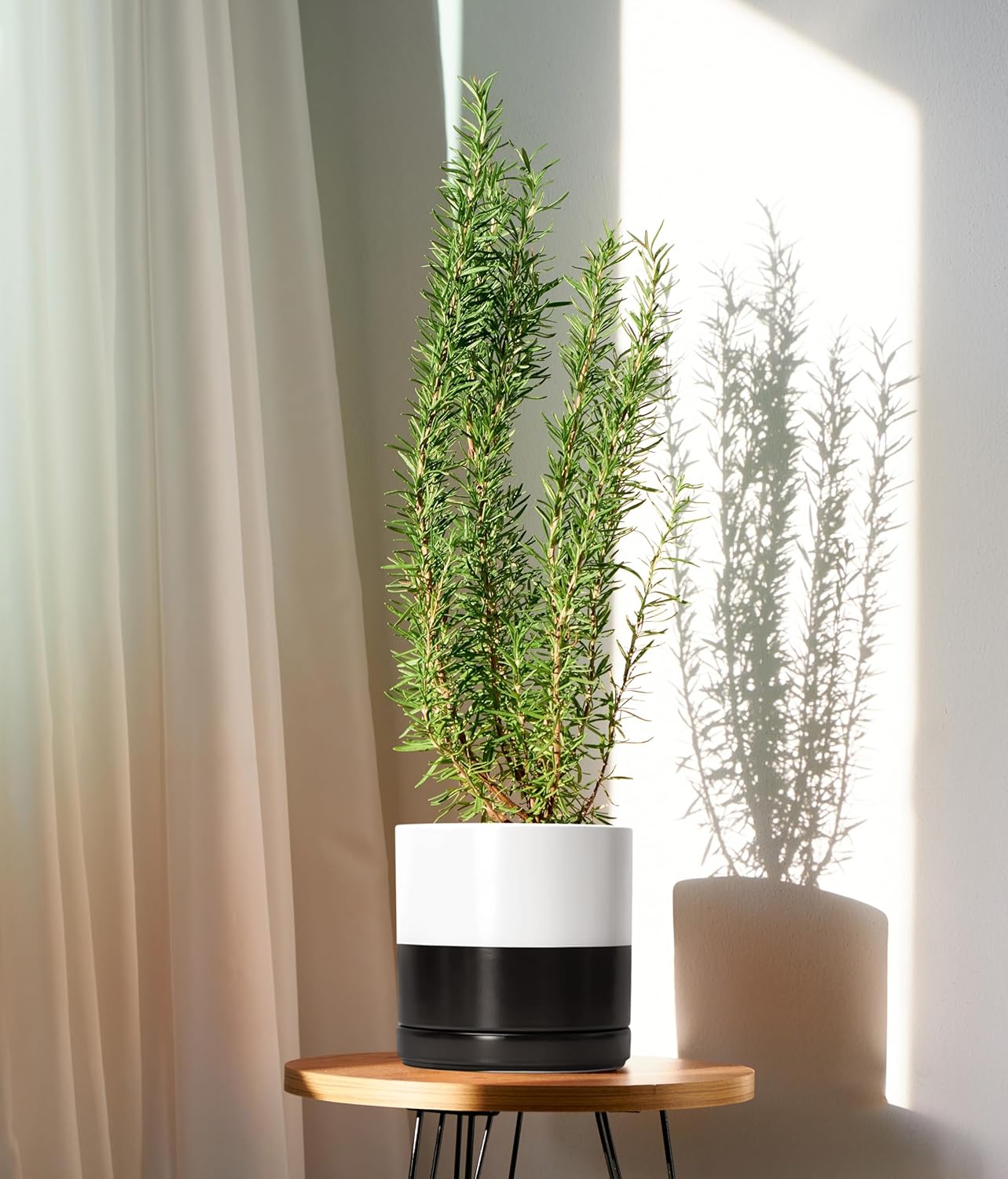 D'vine Dev 8.2 Inch Ceramic Planter Pot with Drainage Hole and Saucer, Indoor Cylinder Round Planter Pot, Layered Monochrome Black & White, 94-O-D-L