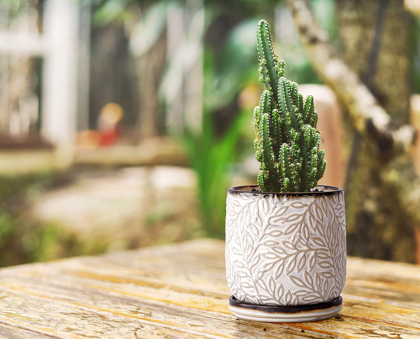 D'vine Dev 4 Inch Embossed Leaves Stoneware Planter Pot with Drainage Hole and Saucer, Smoked White, Set of 1, 27-A-Z-1