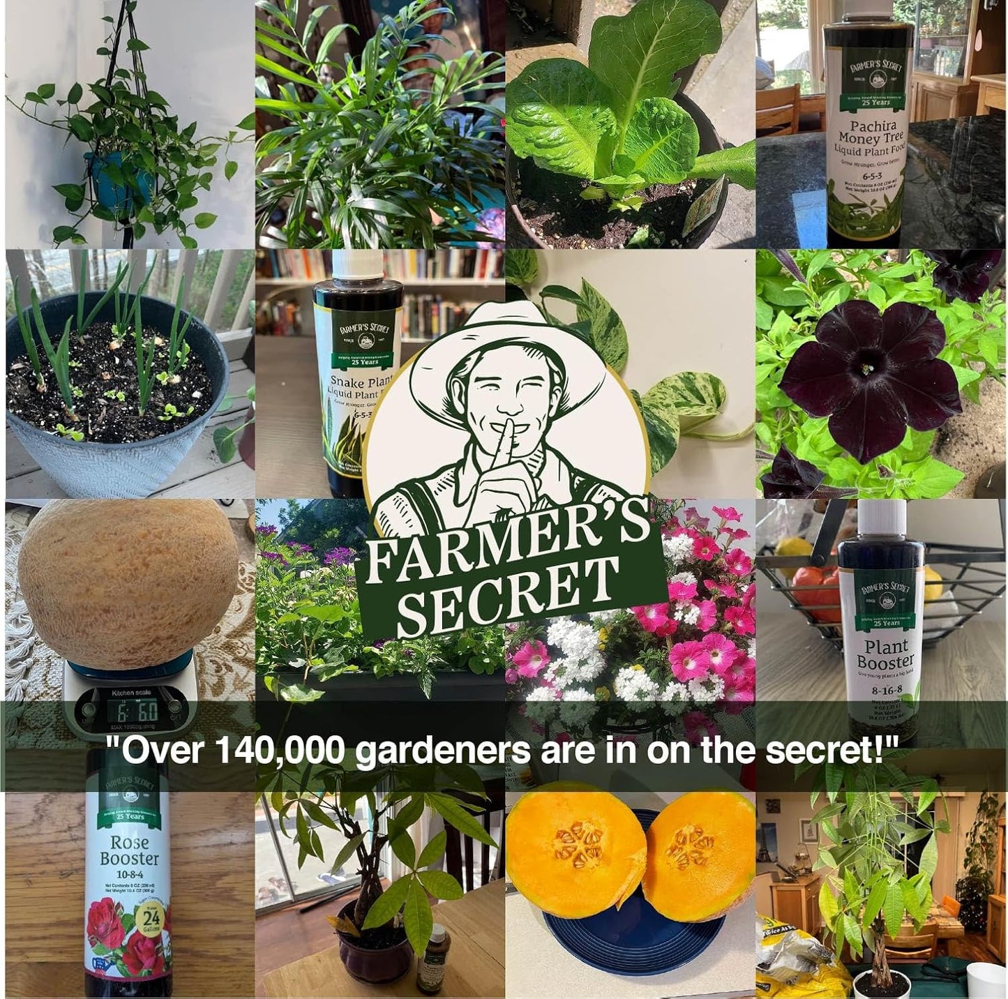 Farmer’s Secret Soil Revitalizer (32oz) - Organic (OMRI Listed) Dirt Health Booster - Liquid Compost Soil Amendment - Activated Humic Acid - Great for Fall Application