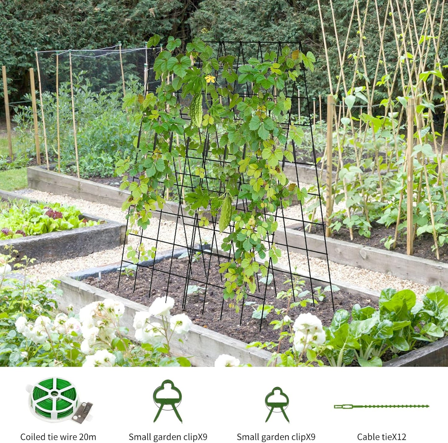 Cucumber Trellis 2 Pack, 59" H Foldable A-Frame Garden Trellis for Raised Bed Garden Grow Support with Plant Support Clips, Twist Ties for Cucumber,Tomato, Climbing Plants and Flowers