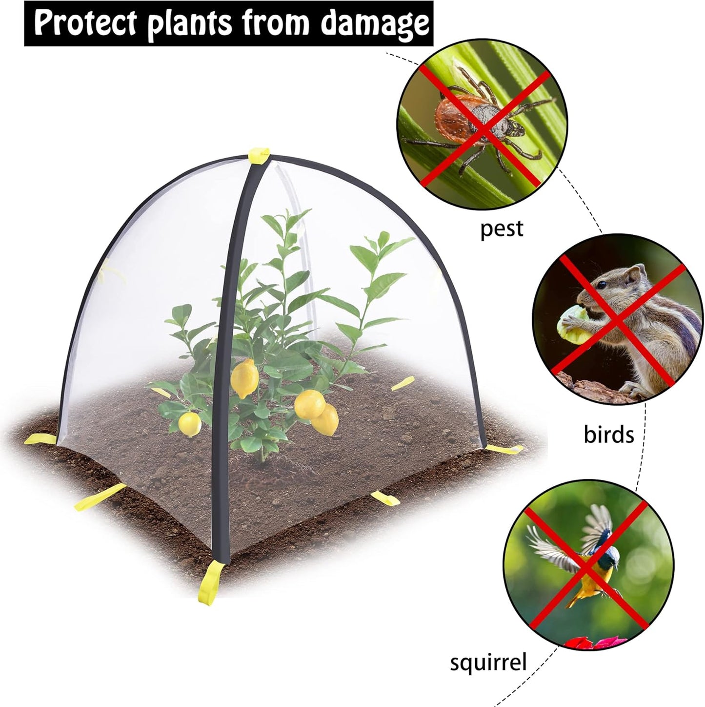 22 x 22 x 23 Inch Insect Barrier Plant Tent Cover-Bug Guard Cover with Stakes-Insect Bird Barrier Netting Mesh for Protect Vegetable Plants Fruits Flowers from Birds Animal Eating(S)