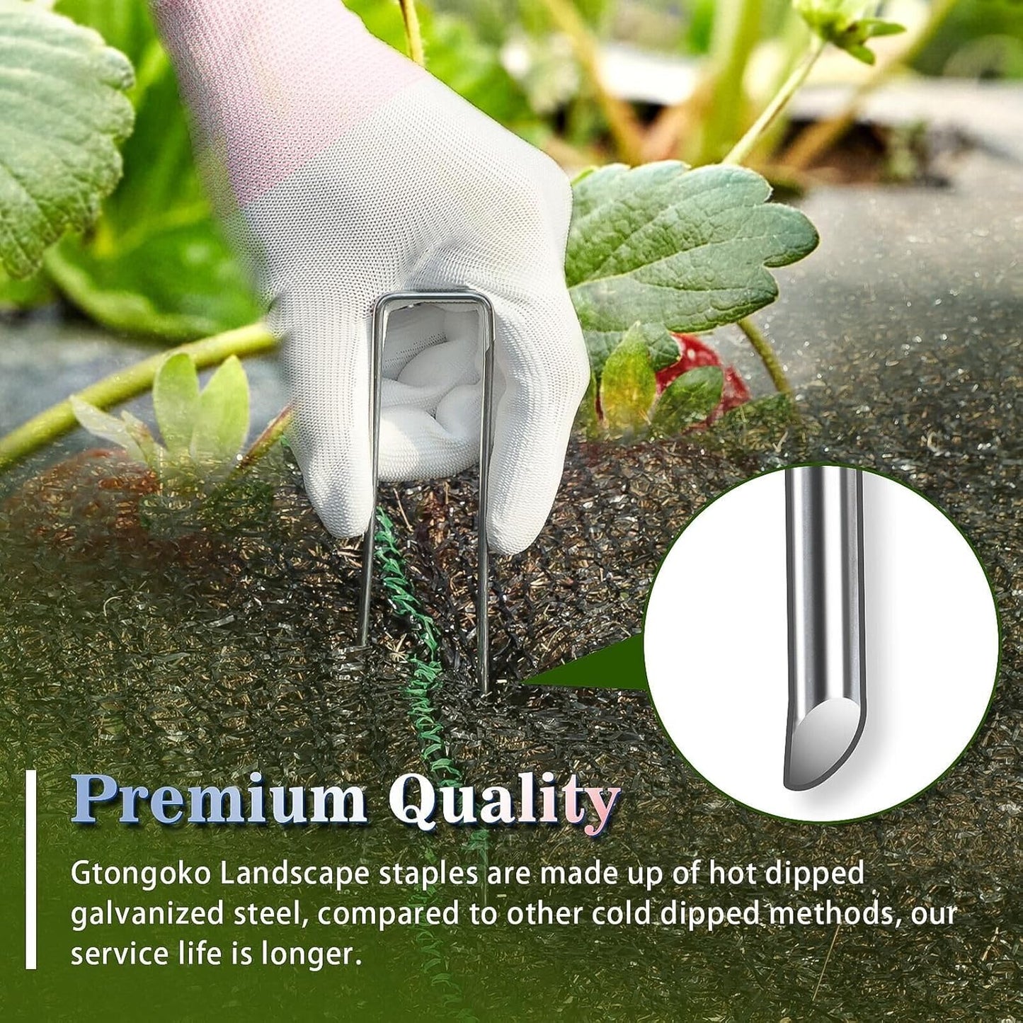 Gtongoko 200 Pack Galvanized Landscape Staples Garden Stakes Plant Cover Stakes 6 Inch 11 Gauge SOD Staples Fence Stakes for Landscaping Securing Weed Barrier Fabric, Decoration