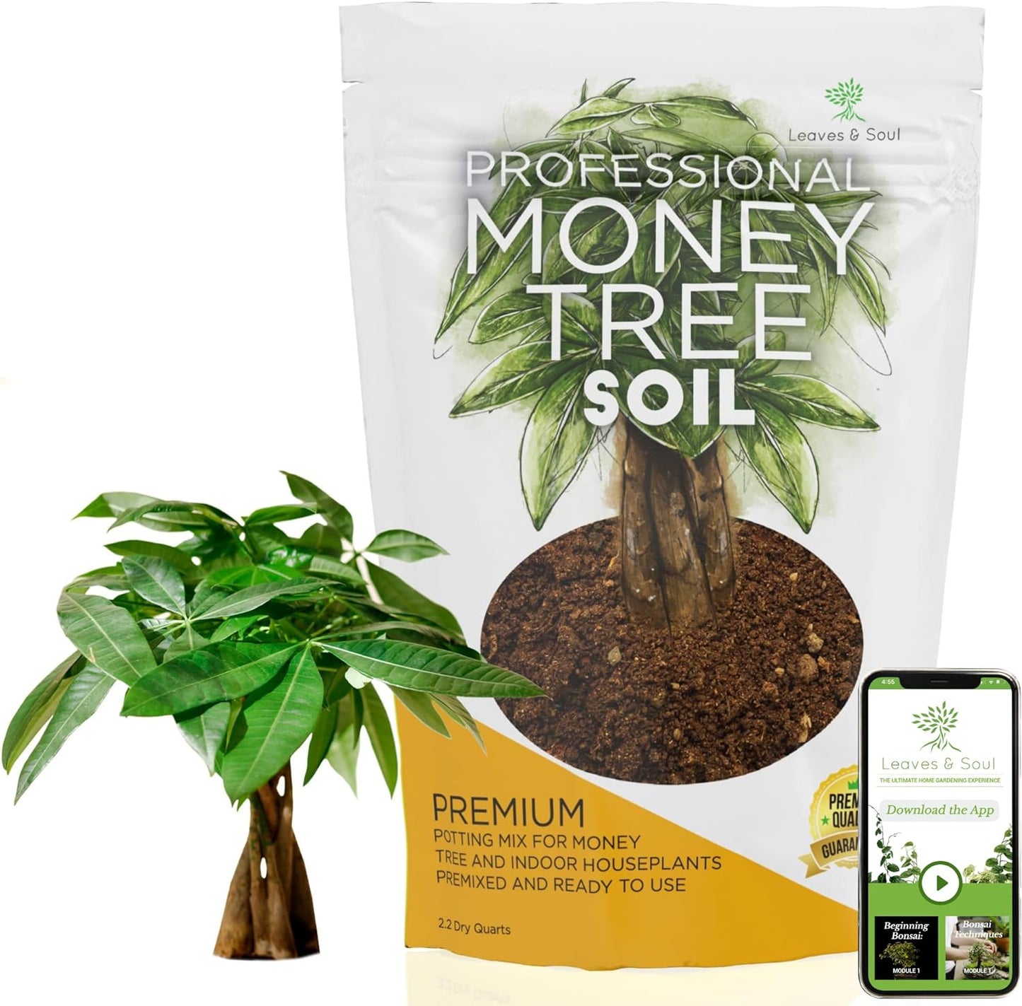 Professional Money Tree Soil | Large 2.2 Quarts Ready to Use for Money Tree Plants | Peat Moss, Coco Coir, Perlite, Dolomite | Made in USA